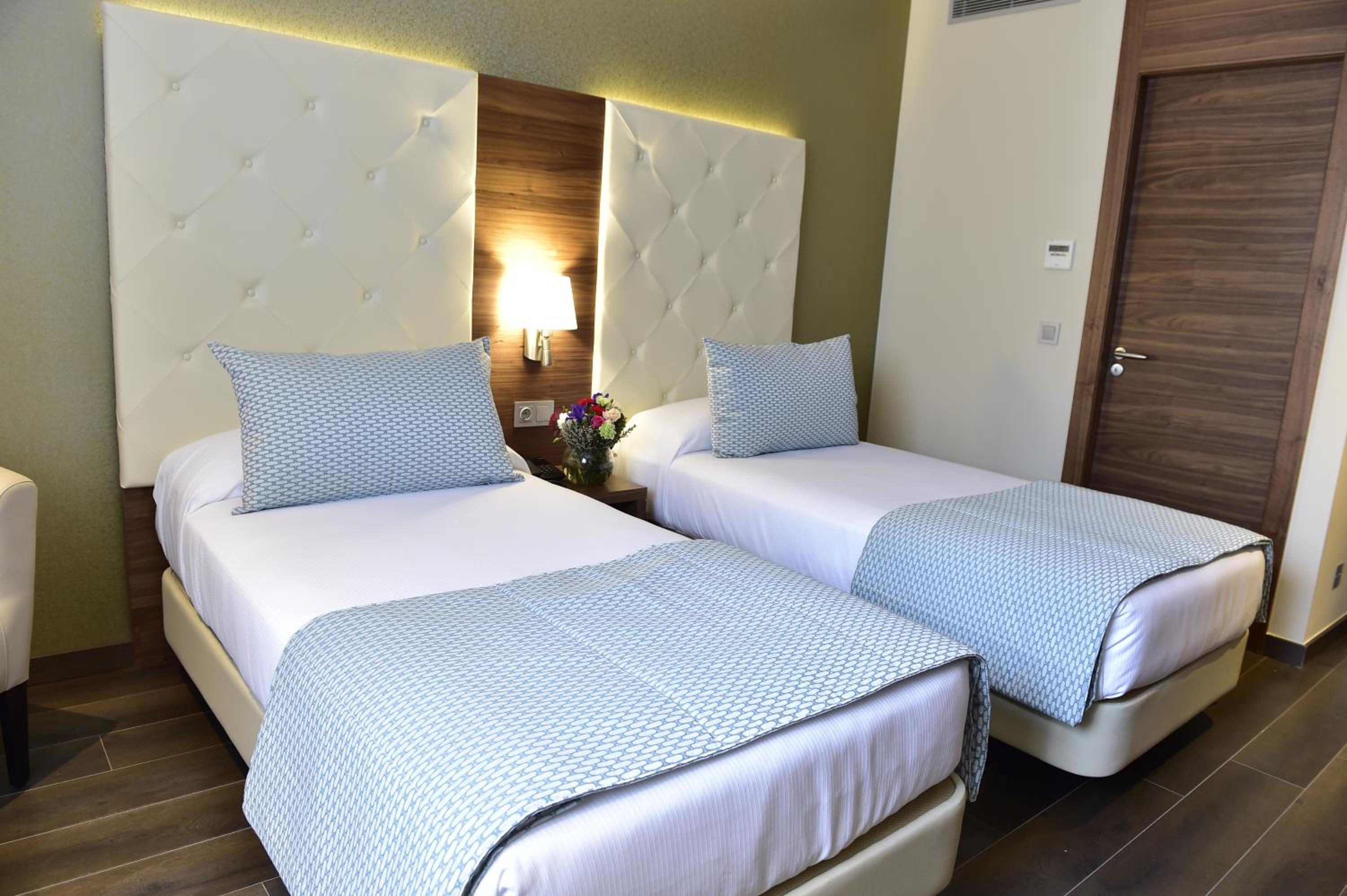 Deluxe Double or Twin Room with City View