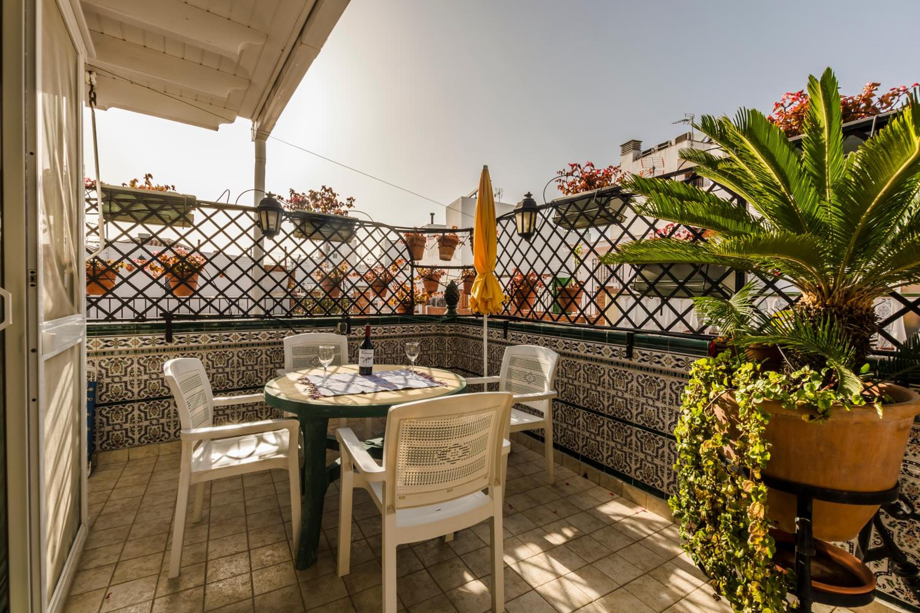 Apartment with Terrace photo 2