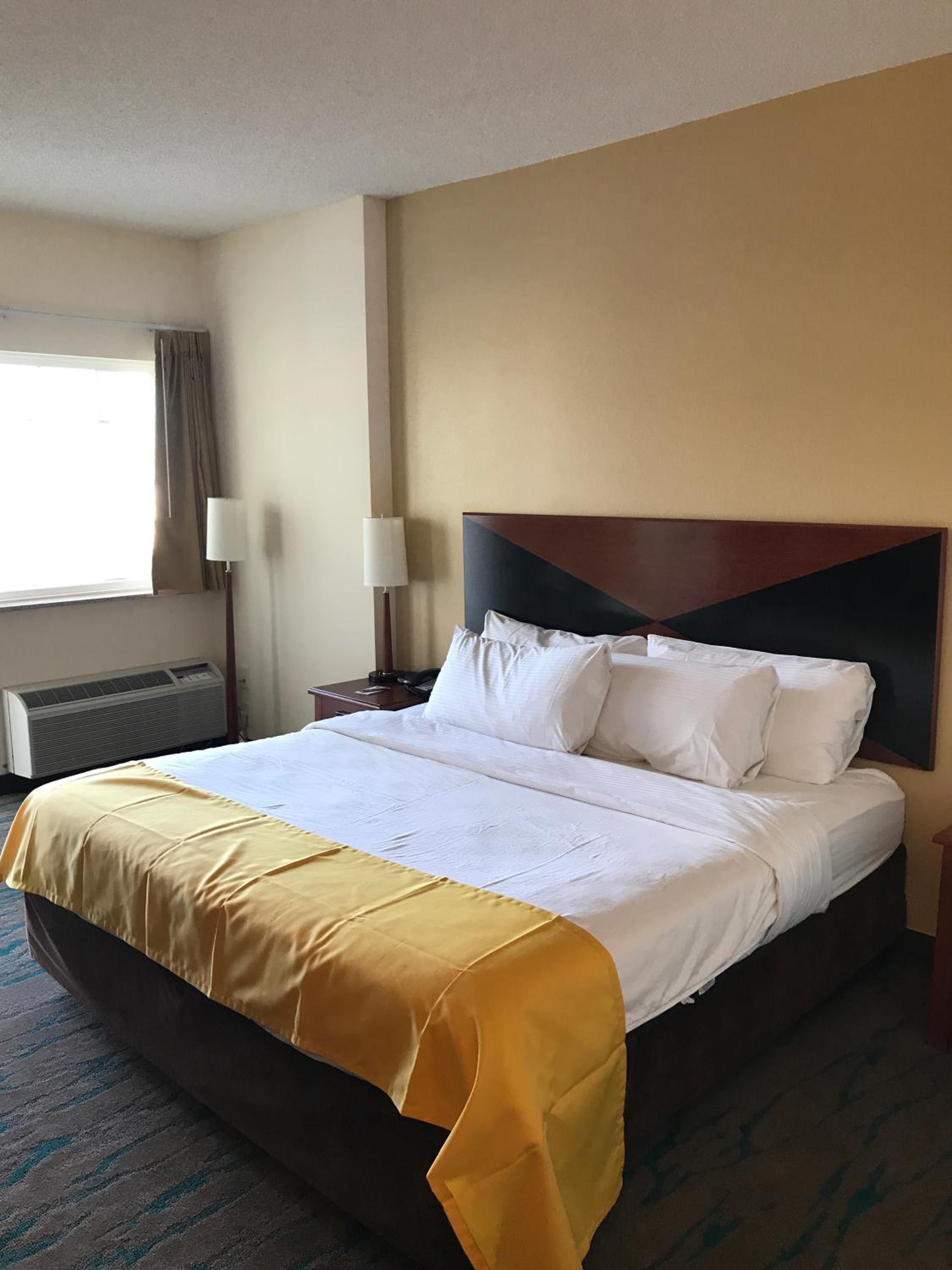 King Room - Non-Smoking - Photo 6