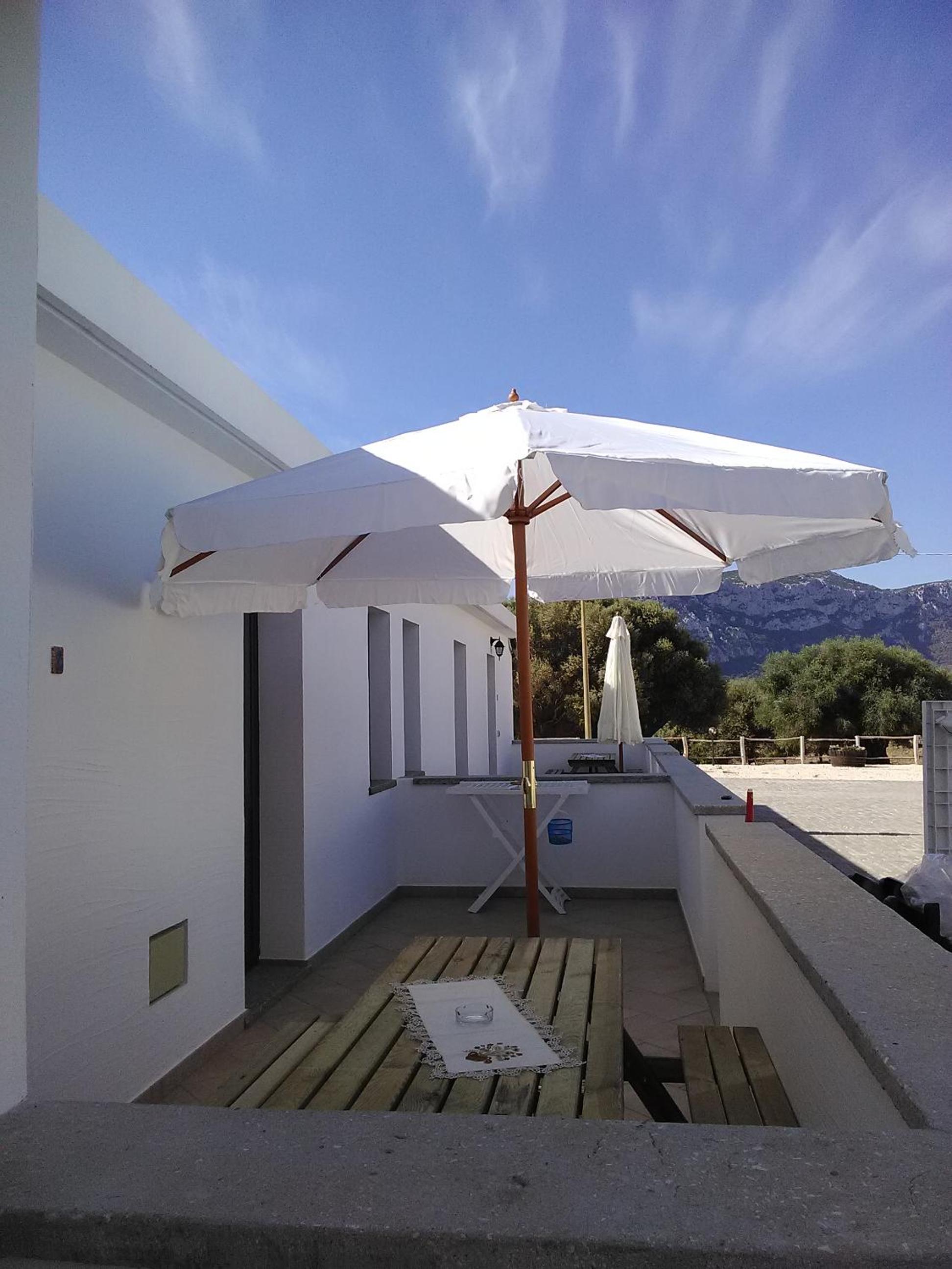 Studio with Terrace photo 2