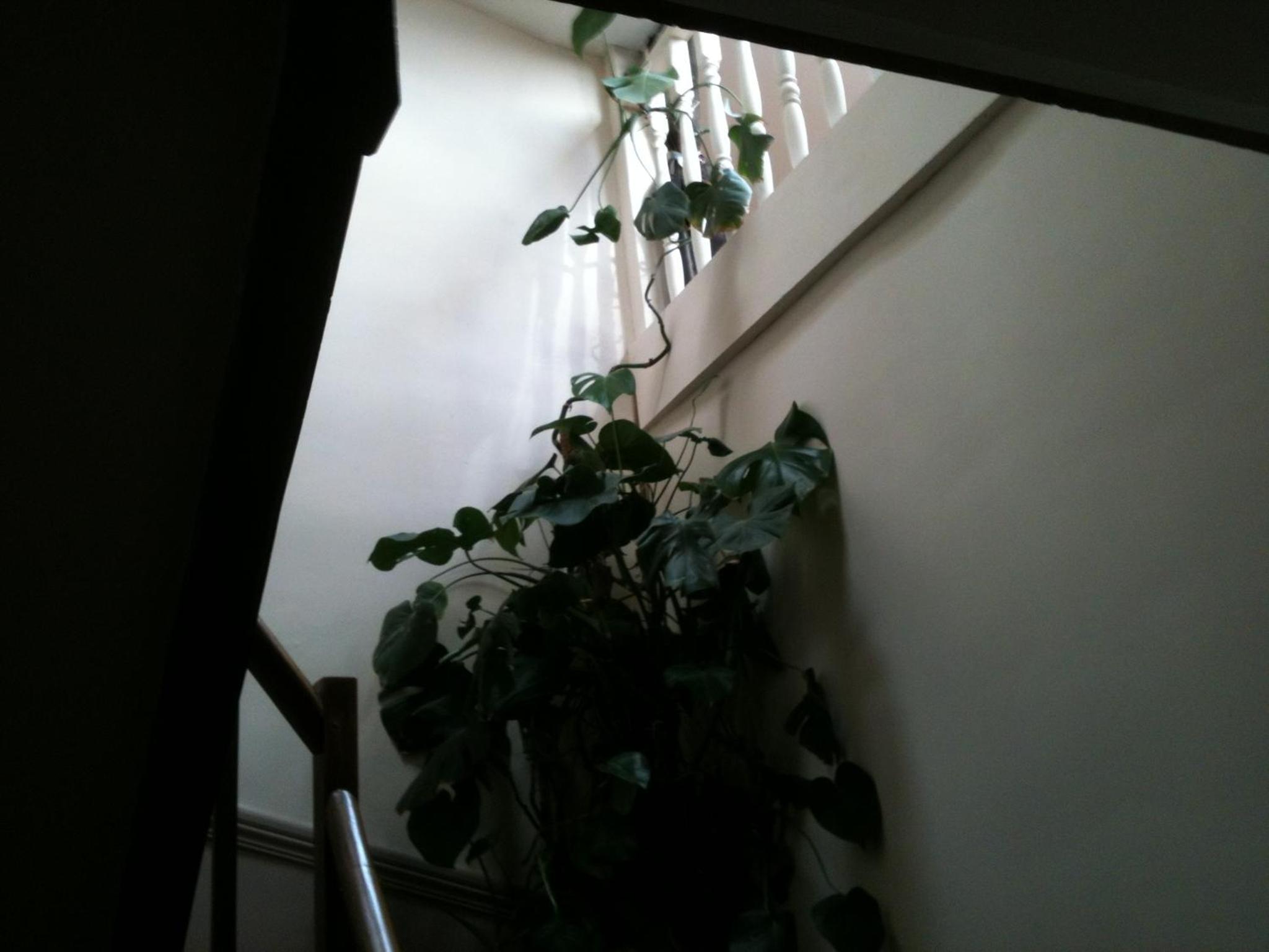 Quadruple Room - Photo 4