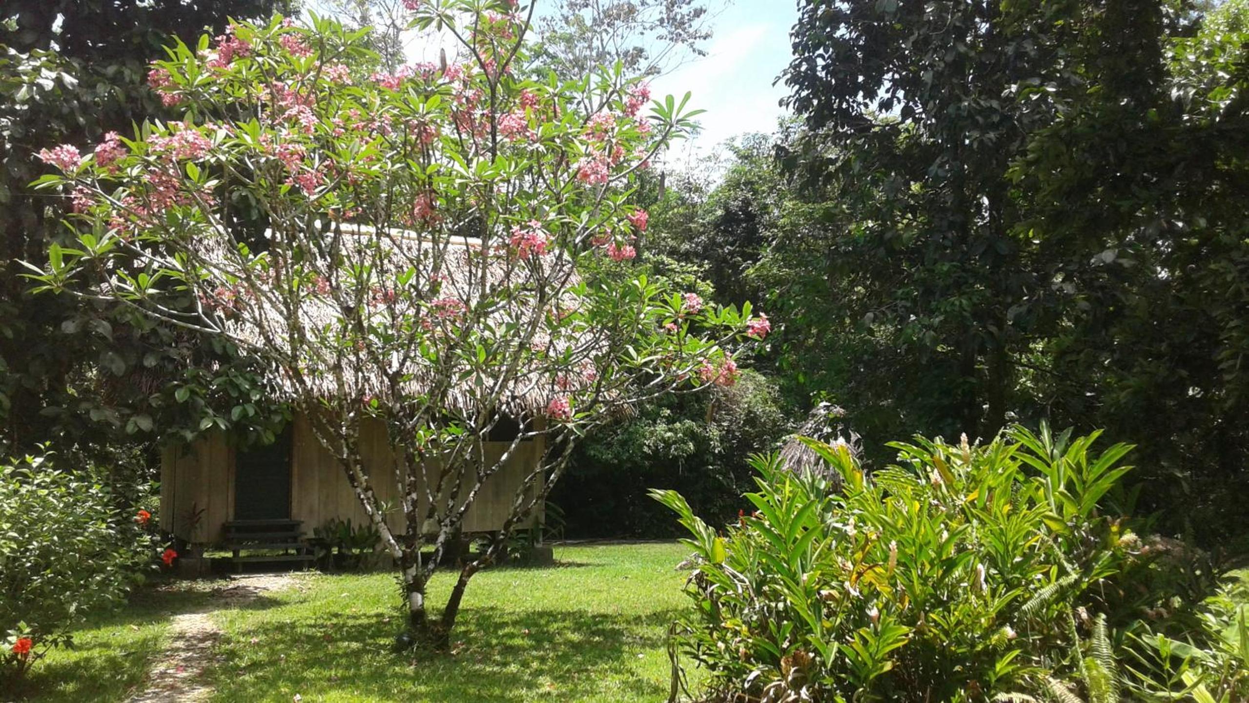 Double Room With Garden View photo 3