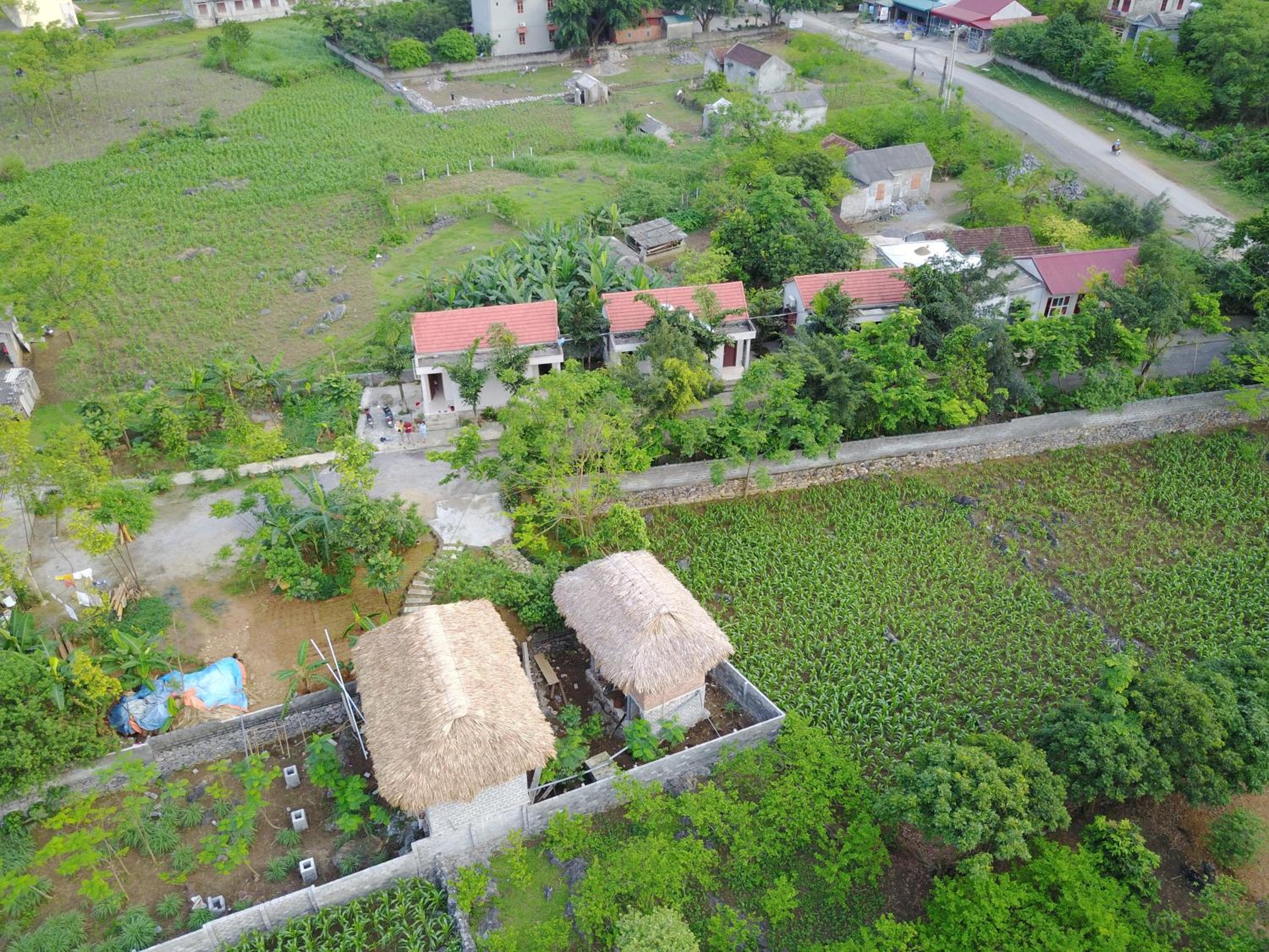 Deluxe Bungalow photo 2