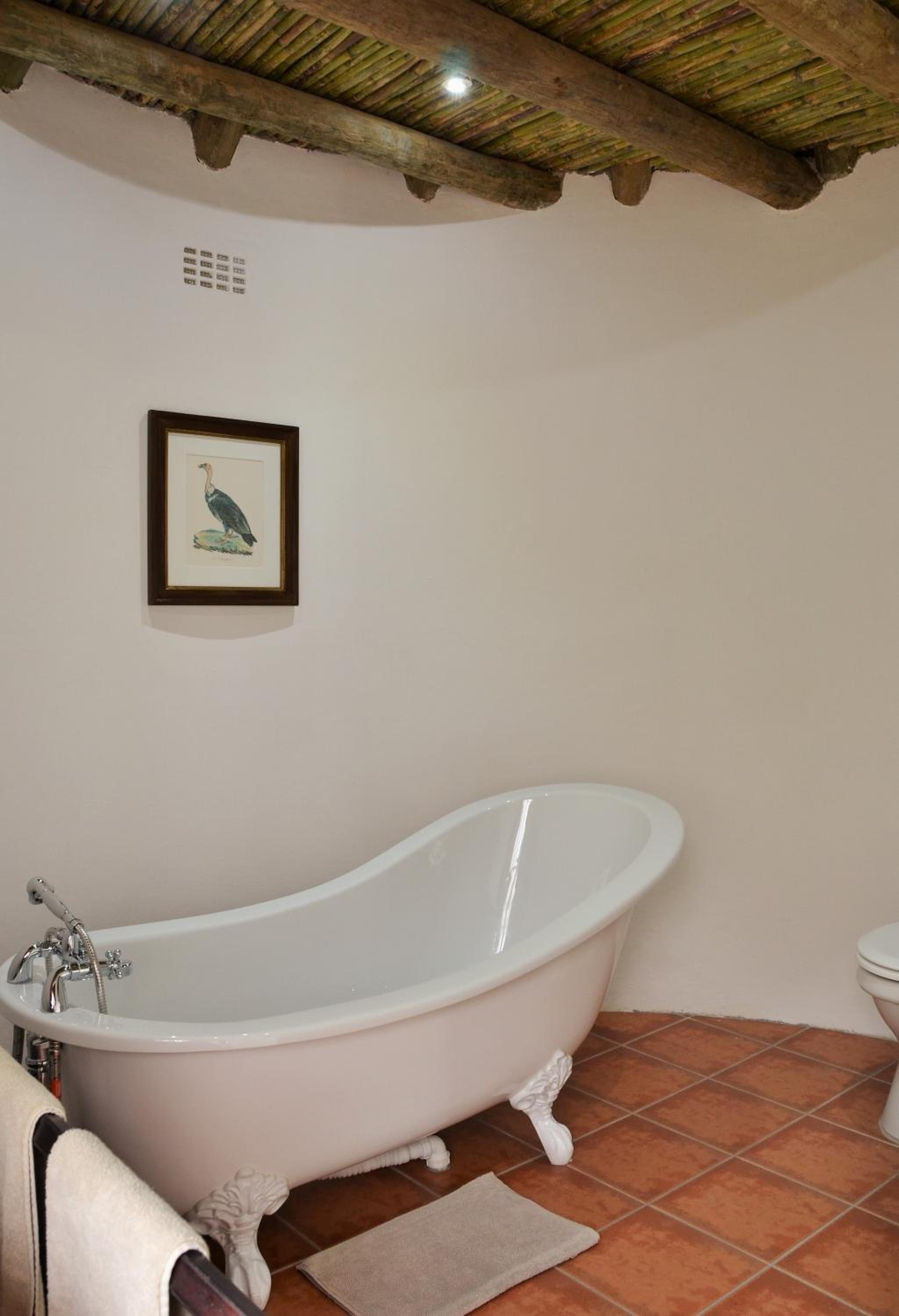 Otter Suite - Photo 4