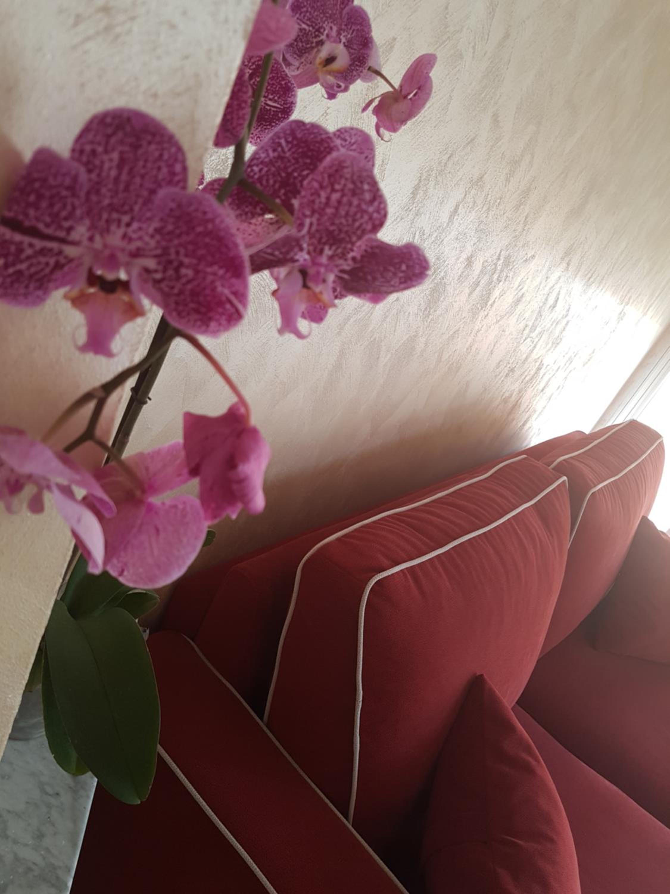 Vacation Home - Photo 35
