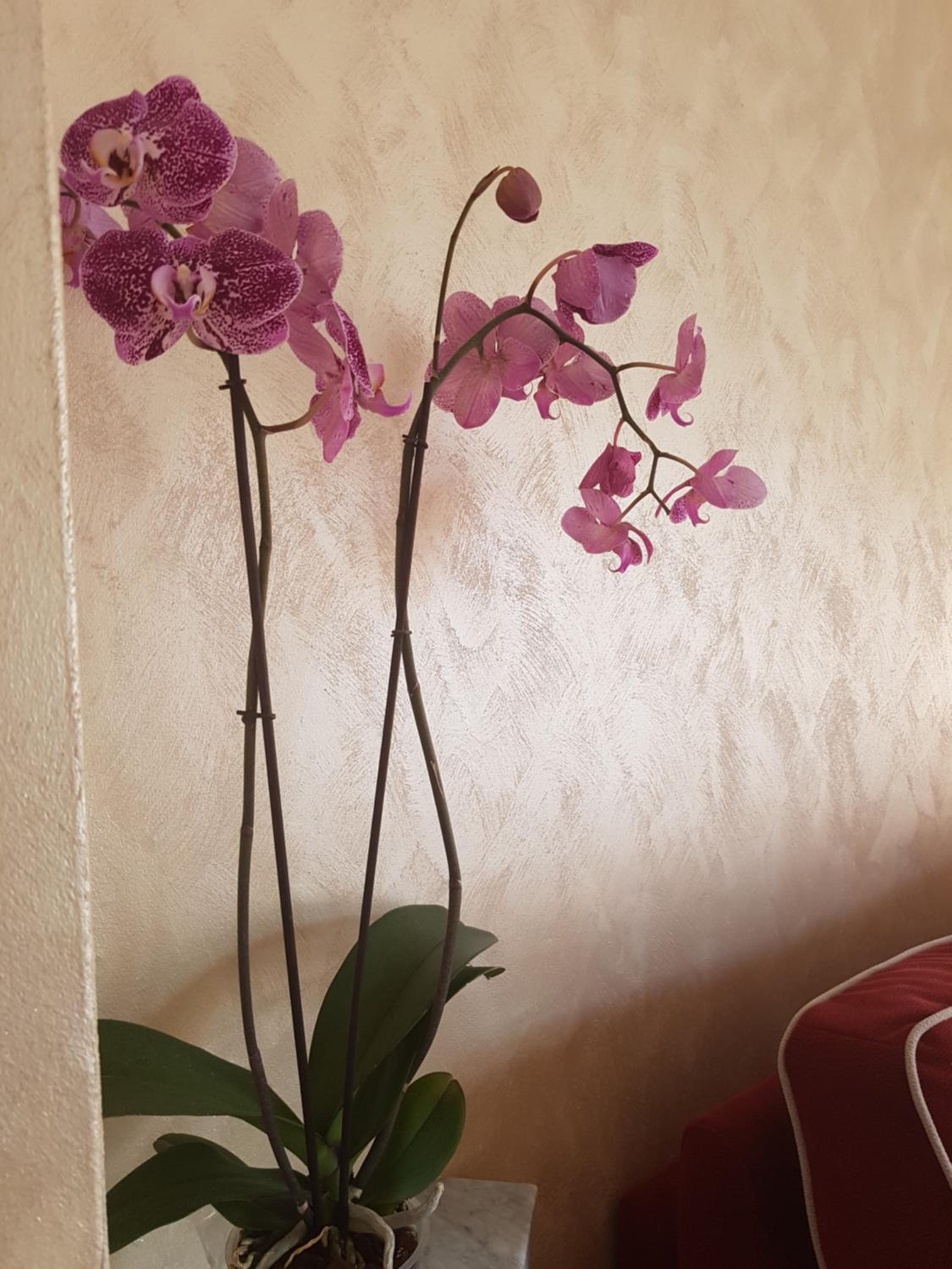 Vacation Home - Photo 39
