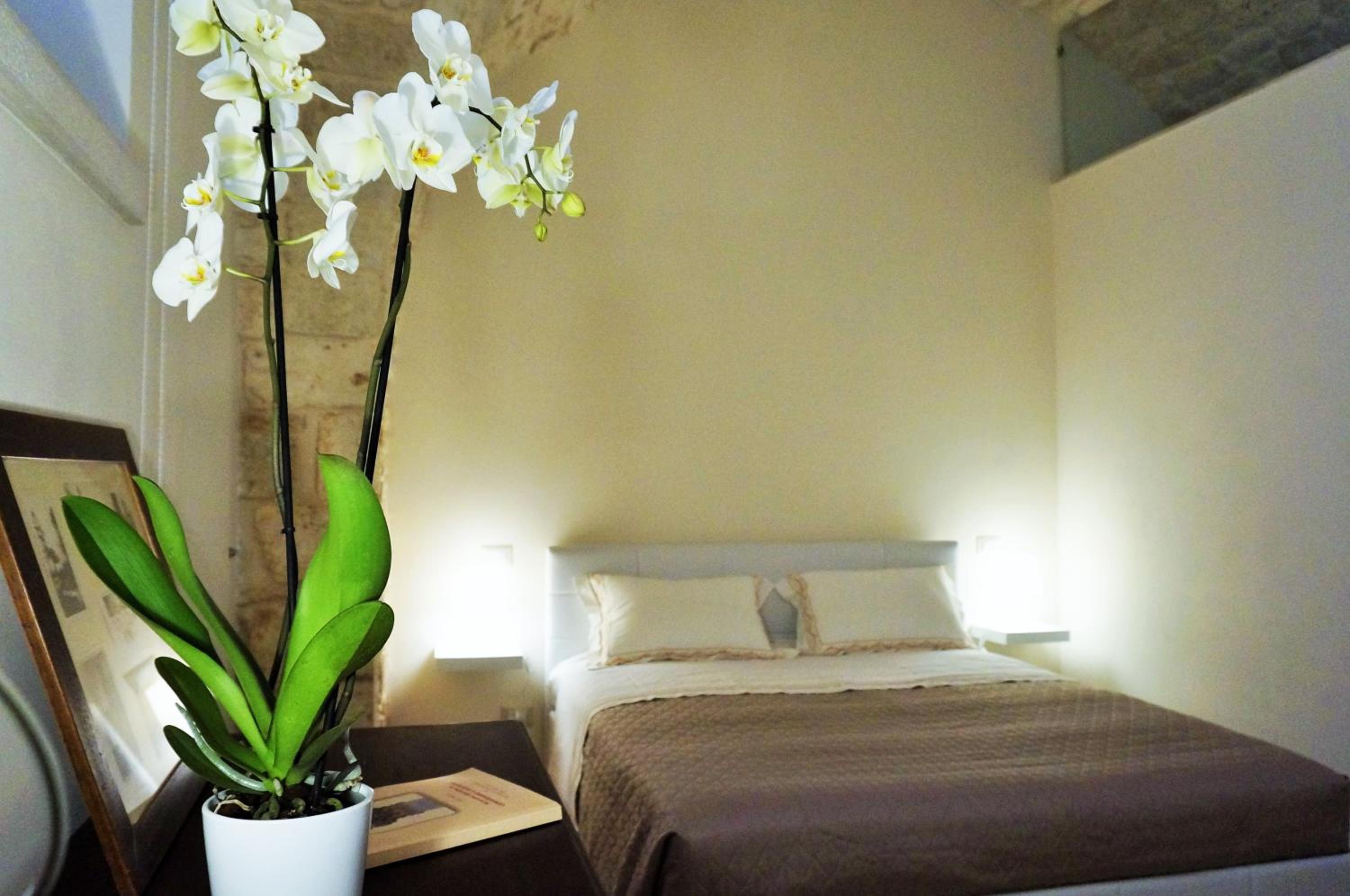 Deluxe Double Room with Shower - Photo 6