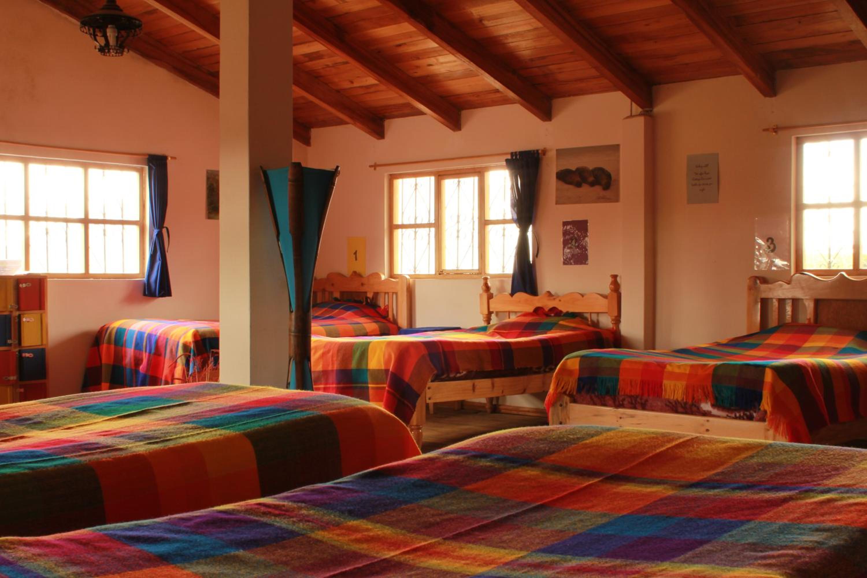 Single Bed in Dormitory Room