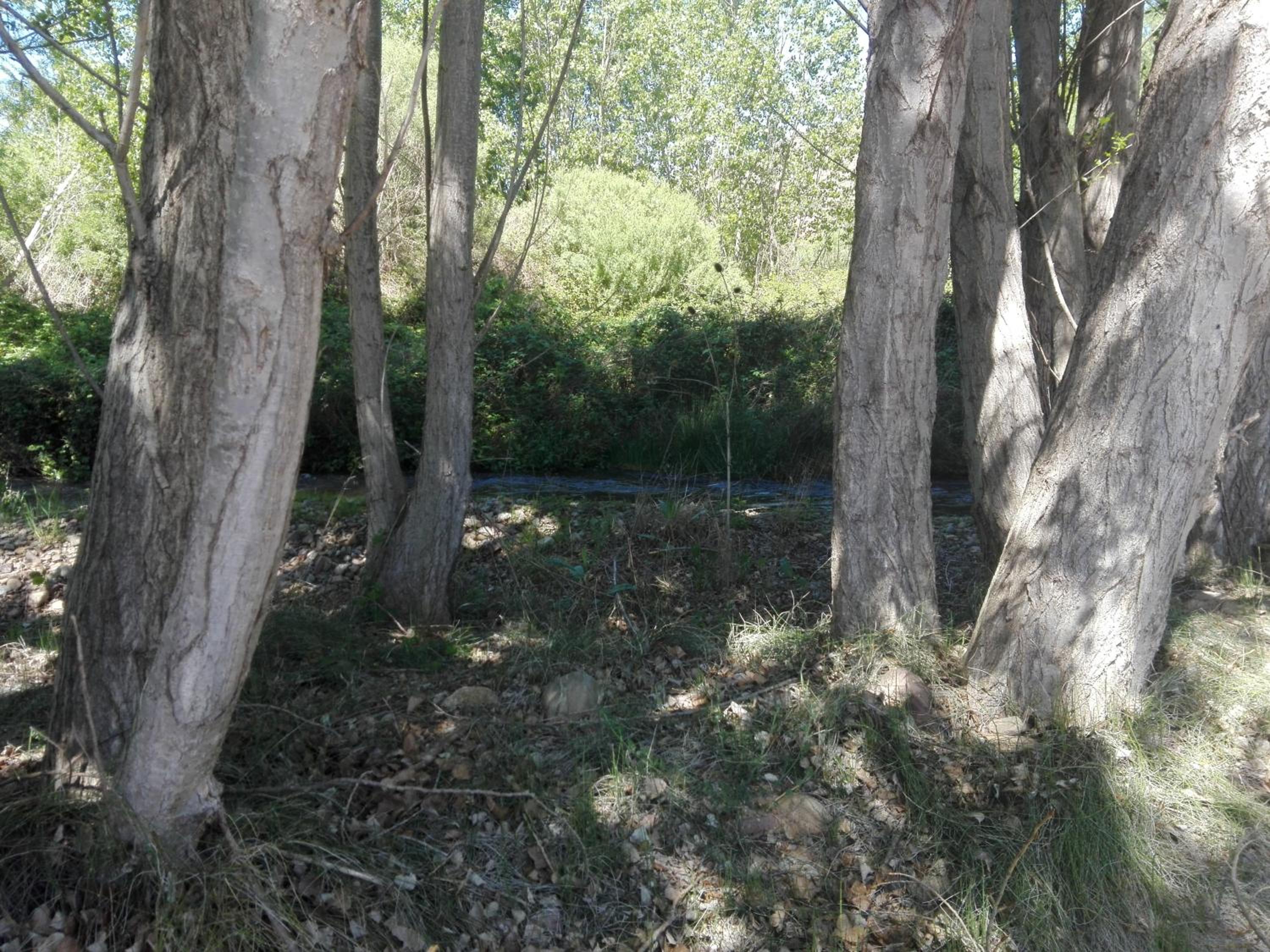 Vacation Home - Photo 18