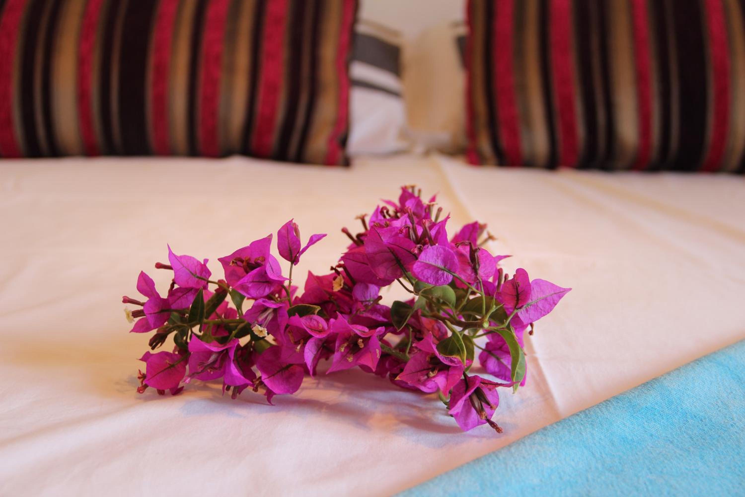 Double Room with Terrace photo 2