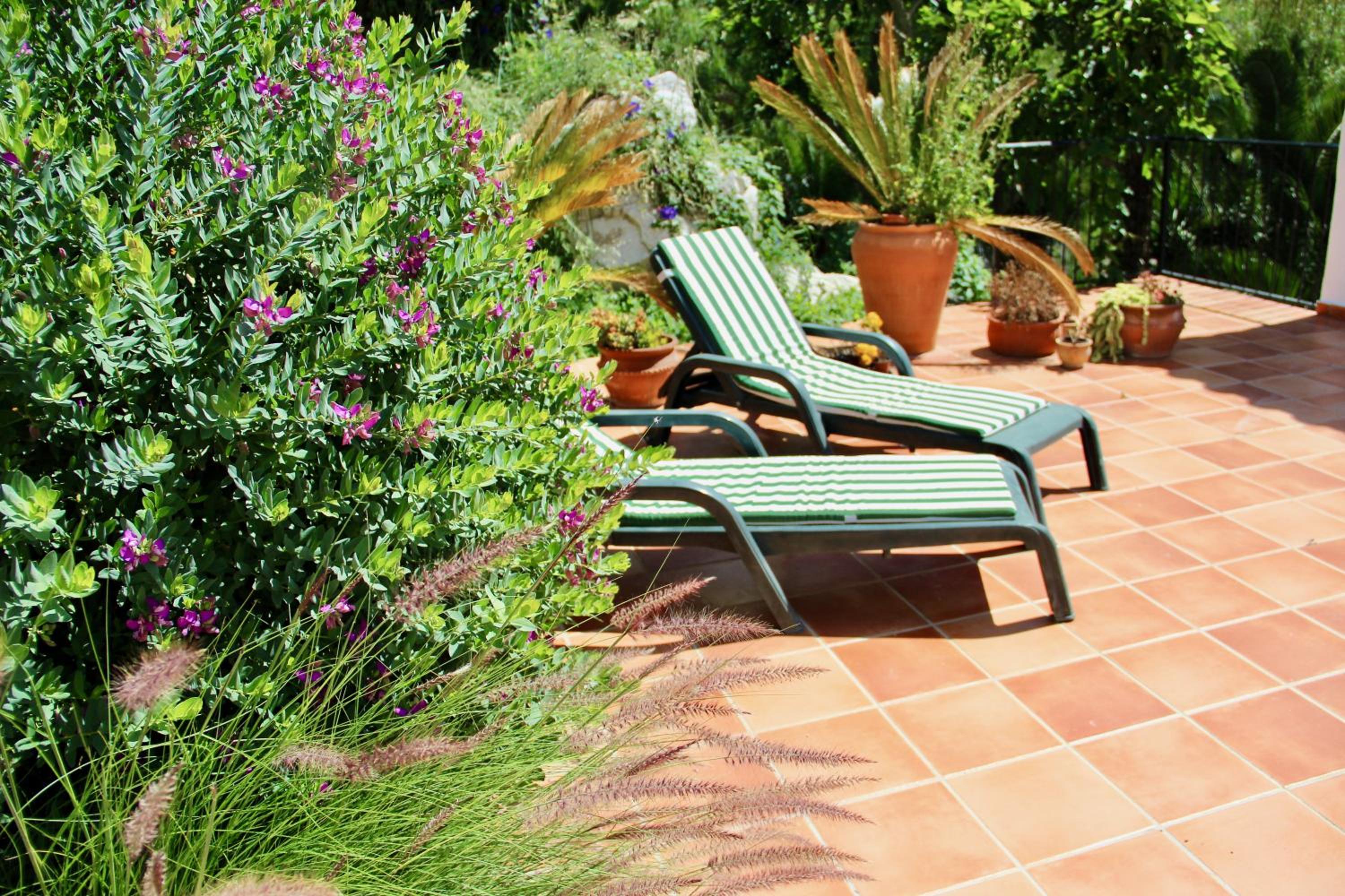 Double Room with Terrace photo 3