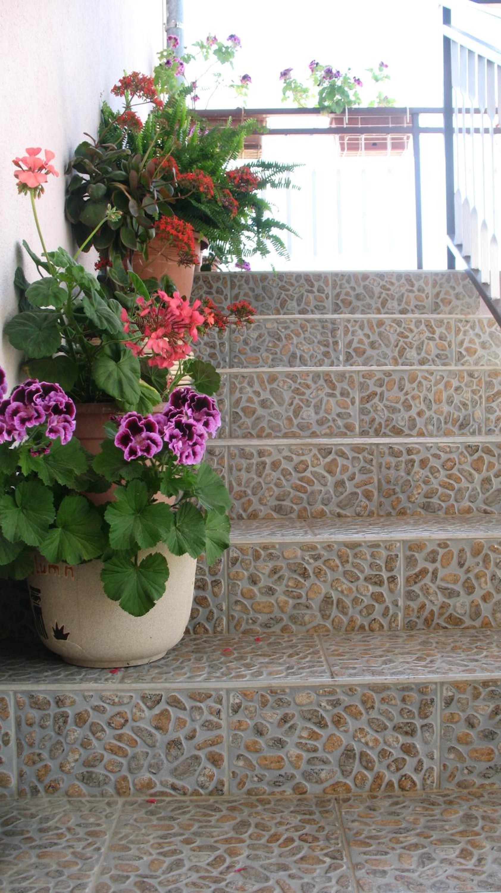 Studio with Balcony (3 Adults)  - Photo 9
