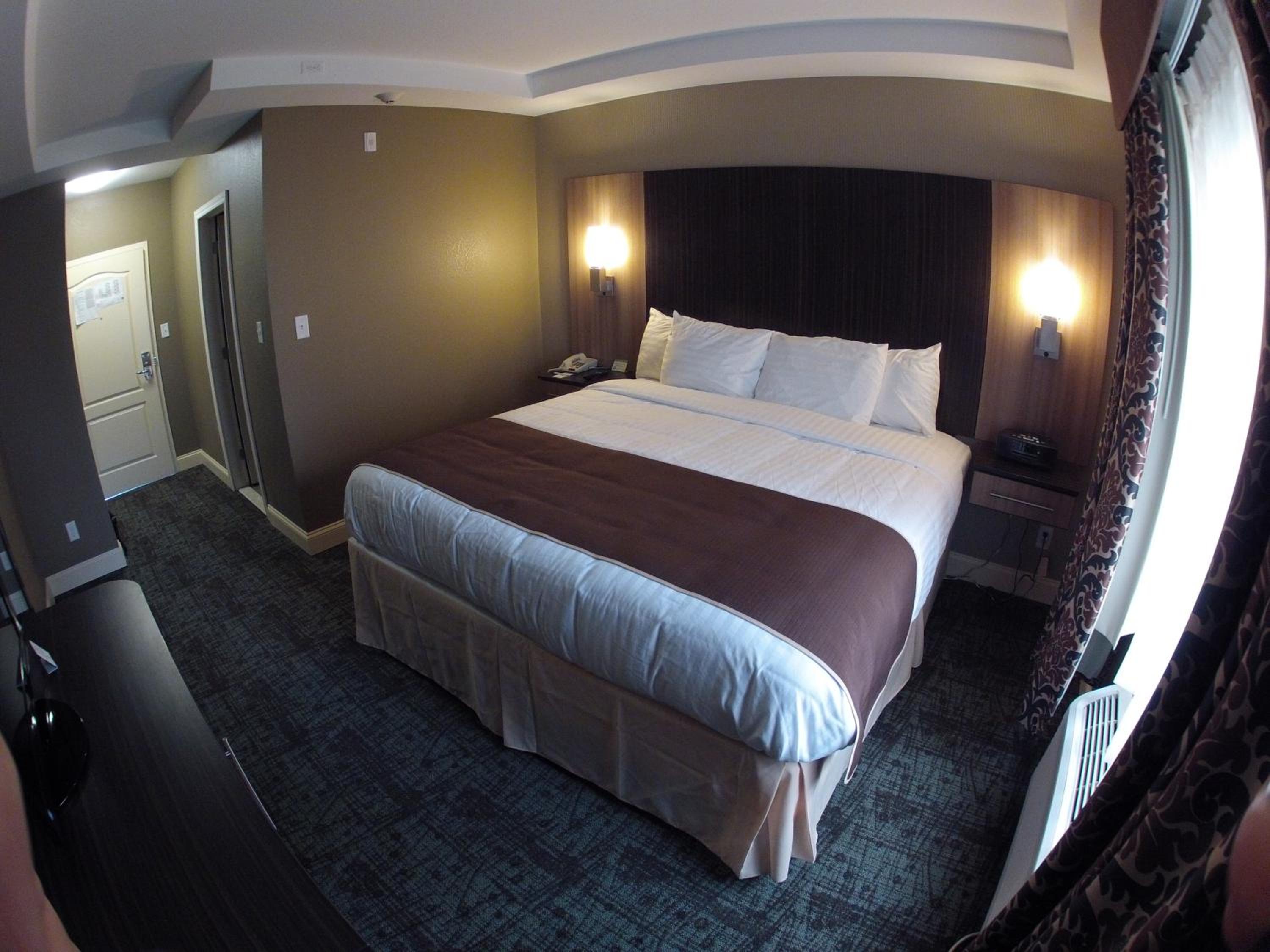 King Room photo 3