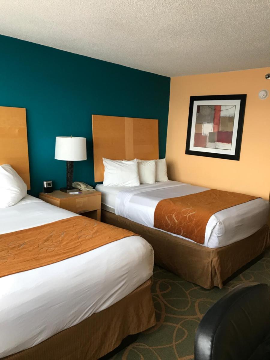 Double Room with Two Double Beds photo 3