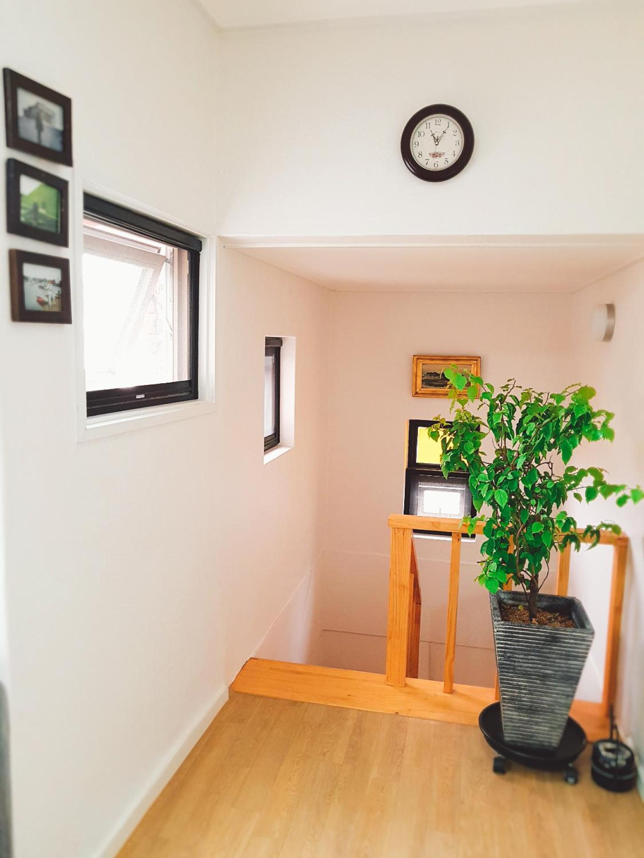 Family Suite photo 2