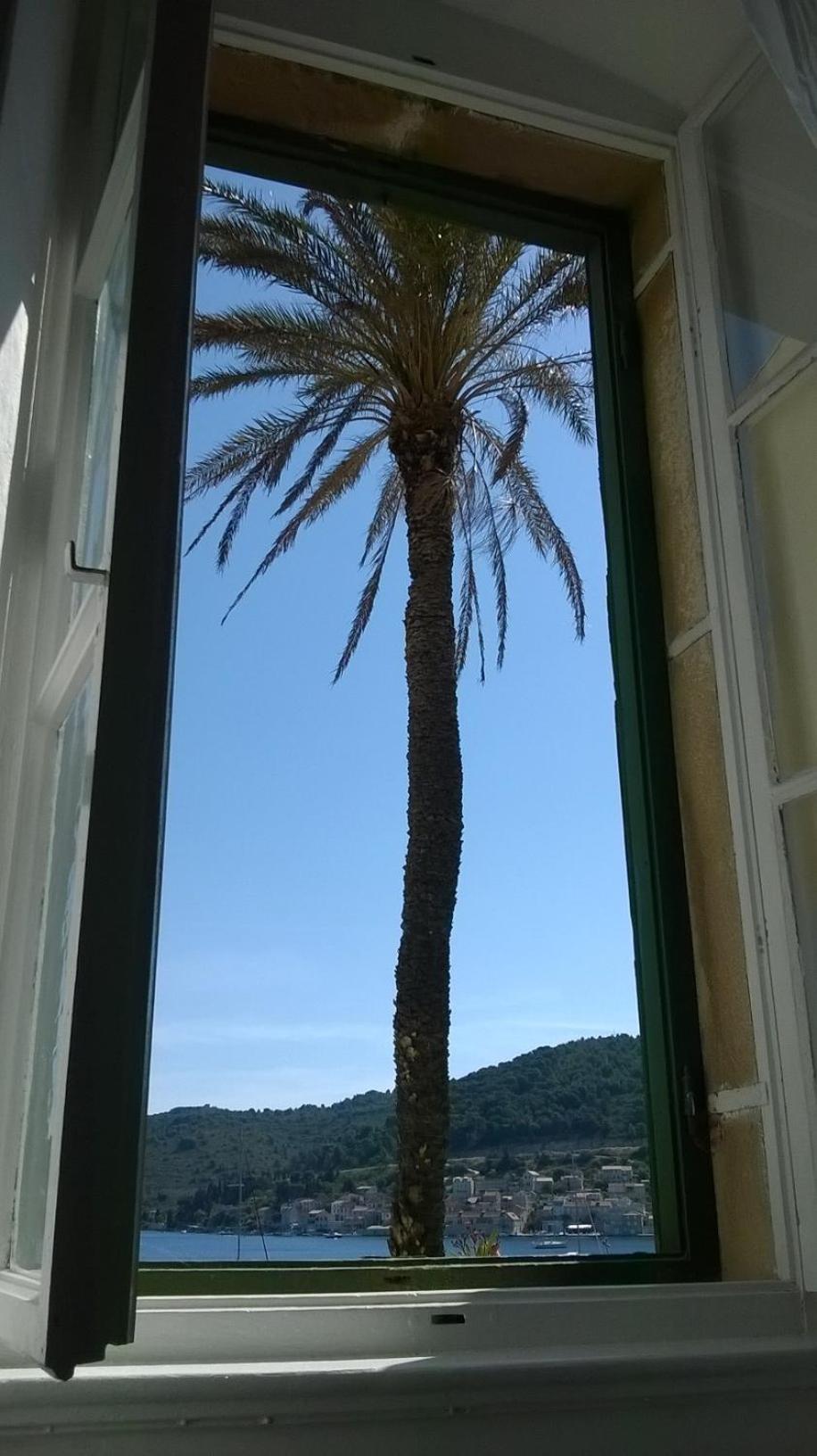 Apartment with Sea View photo 2
