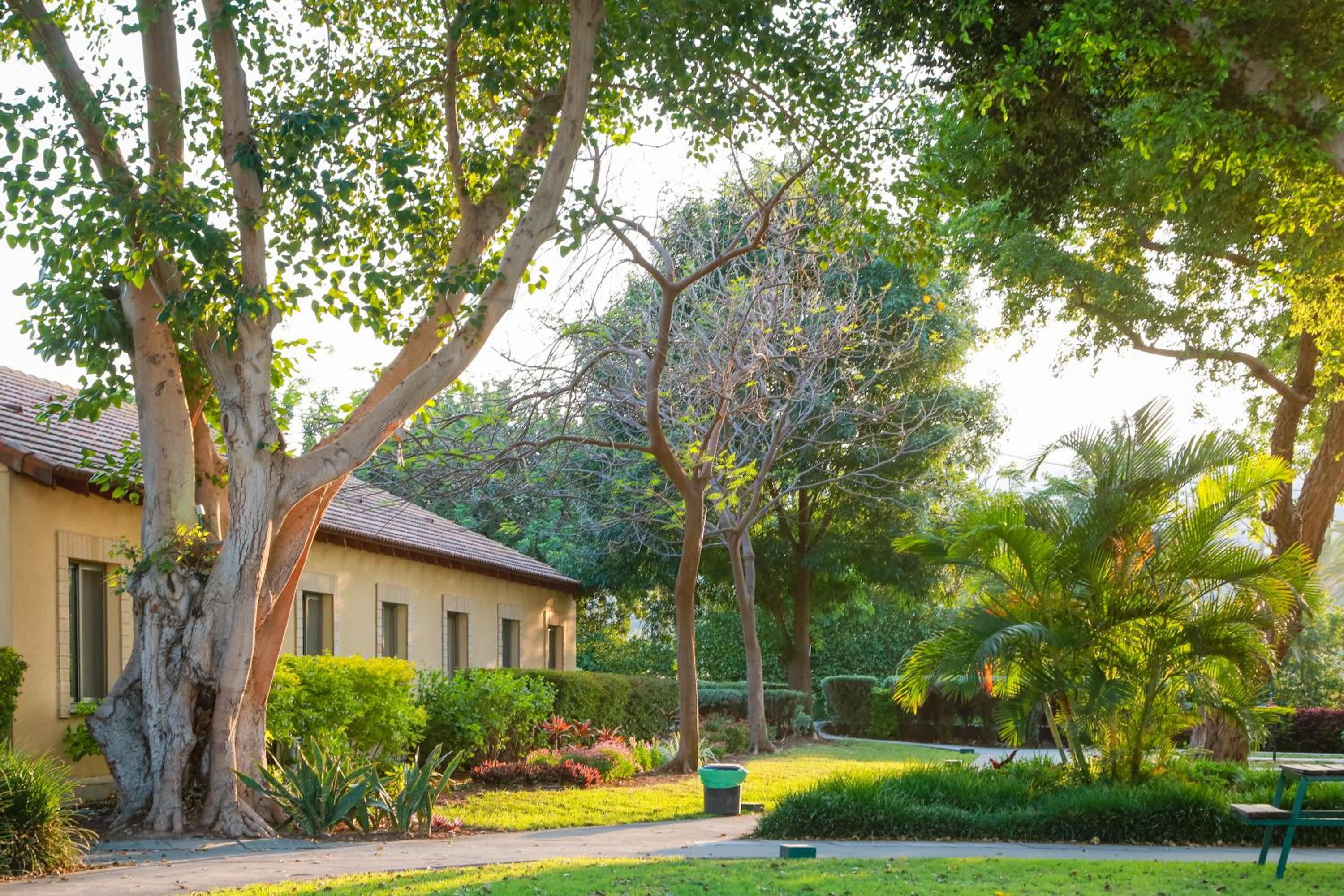 Superior Garden - Photo 17