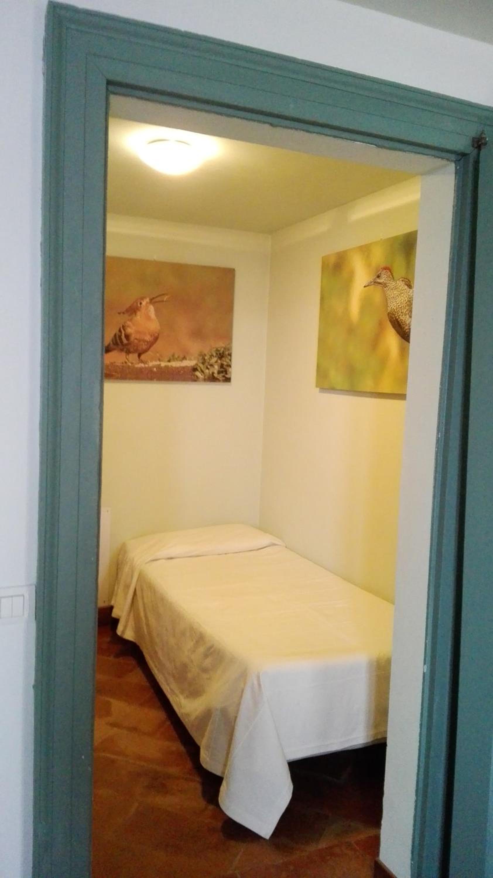 Double or Twin Room photo 3