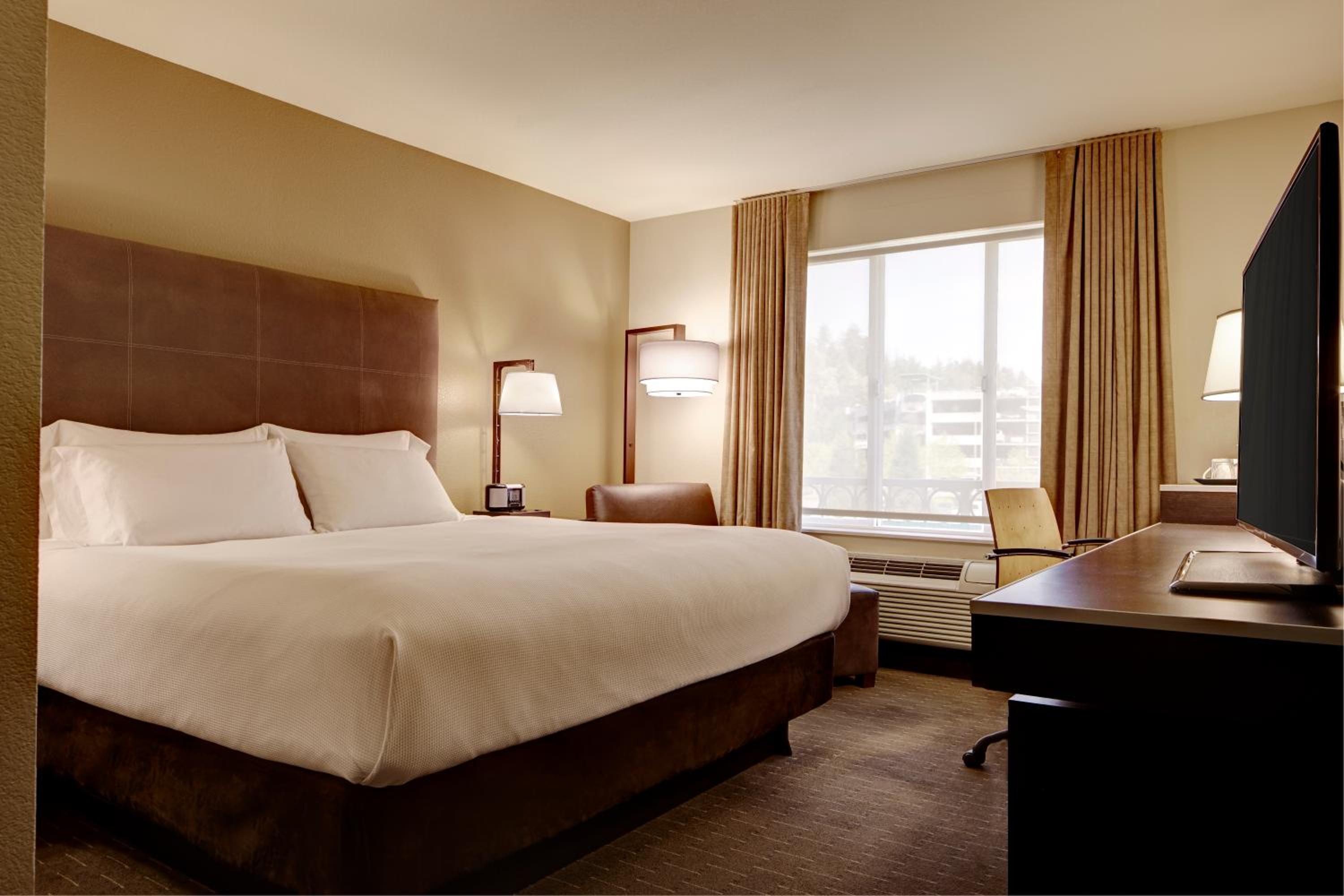 King Room - Photo 4
