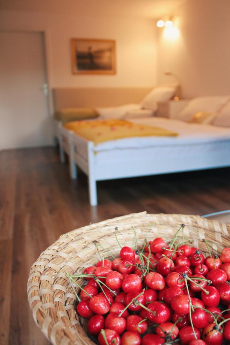Apartment with Garden View photo 3