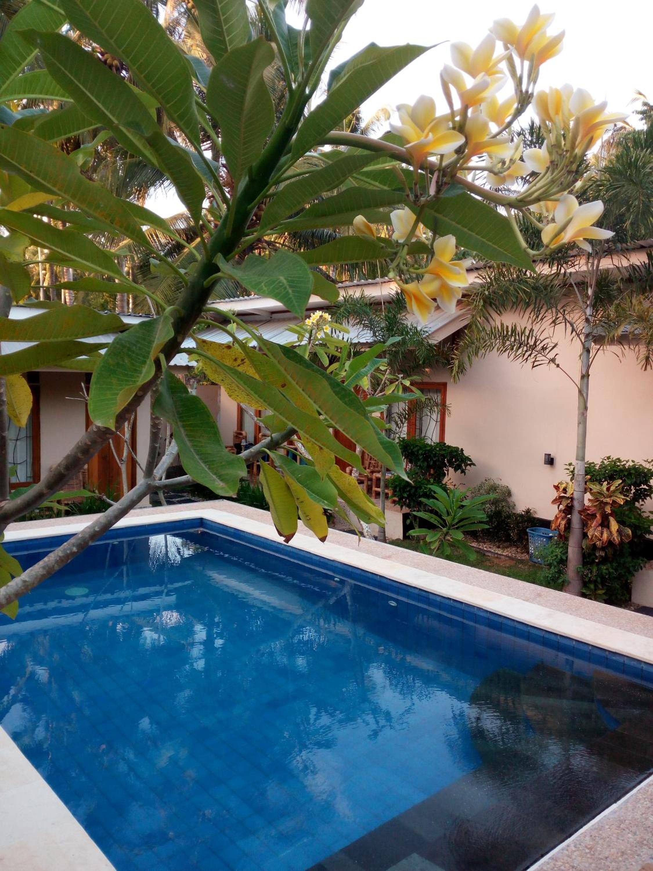 Twin Room with Garden View - Photo 7