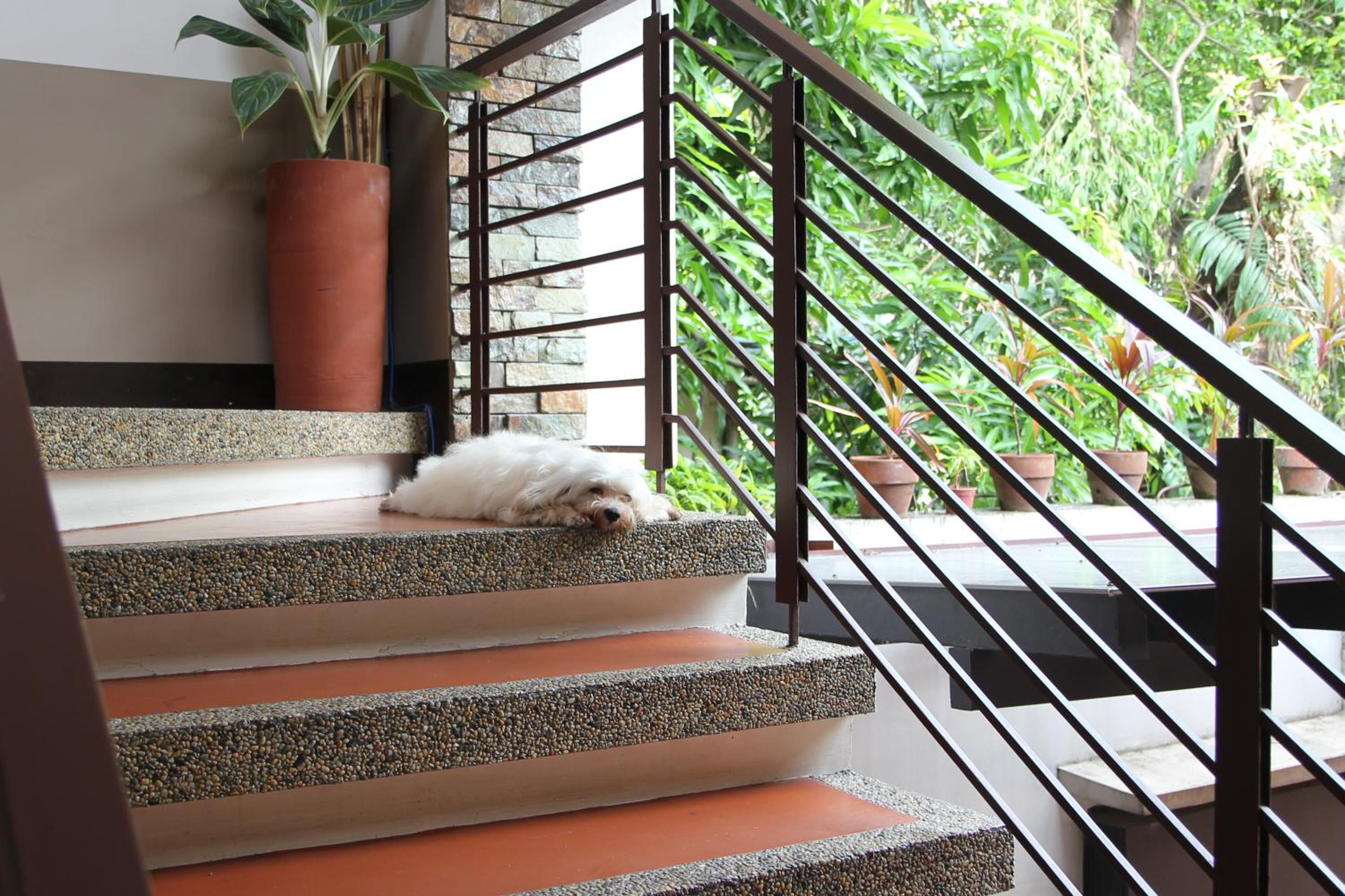 Double Room with Balcony - Photo 9