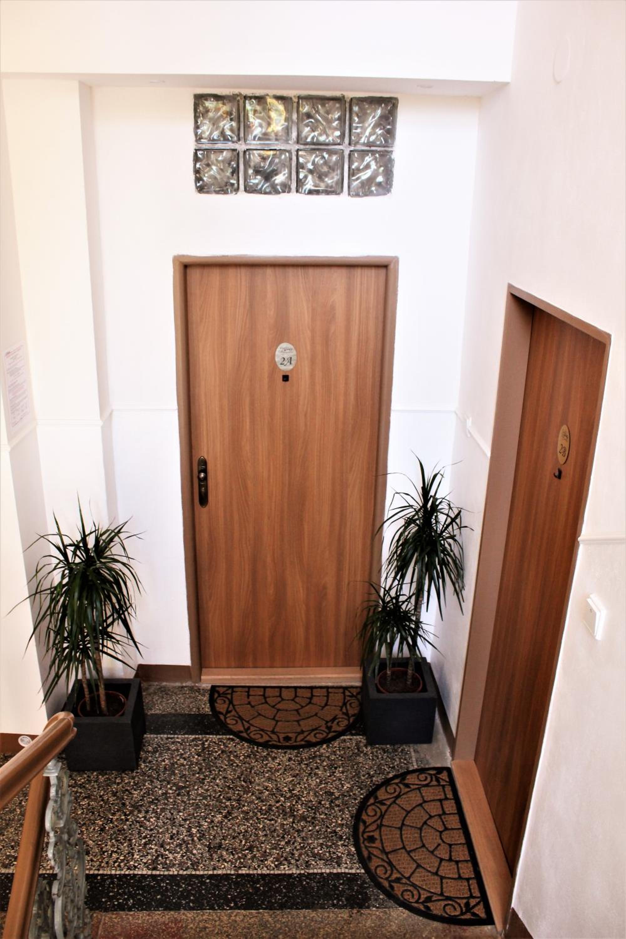 One-Bedroom Apartment photo 3