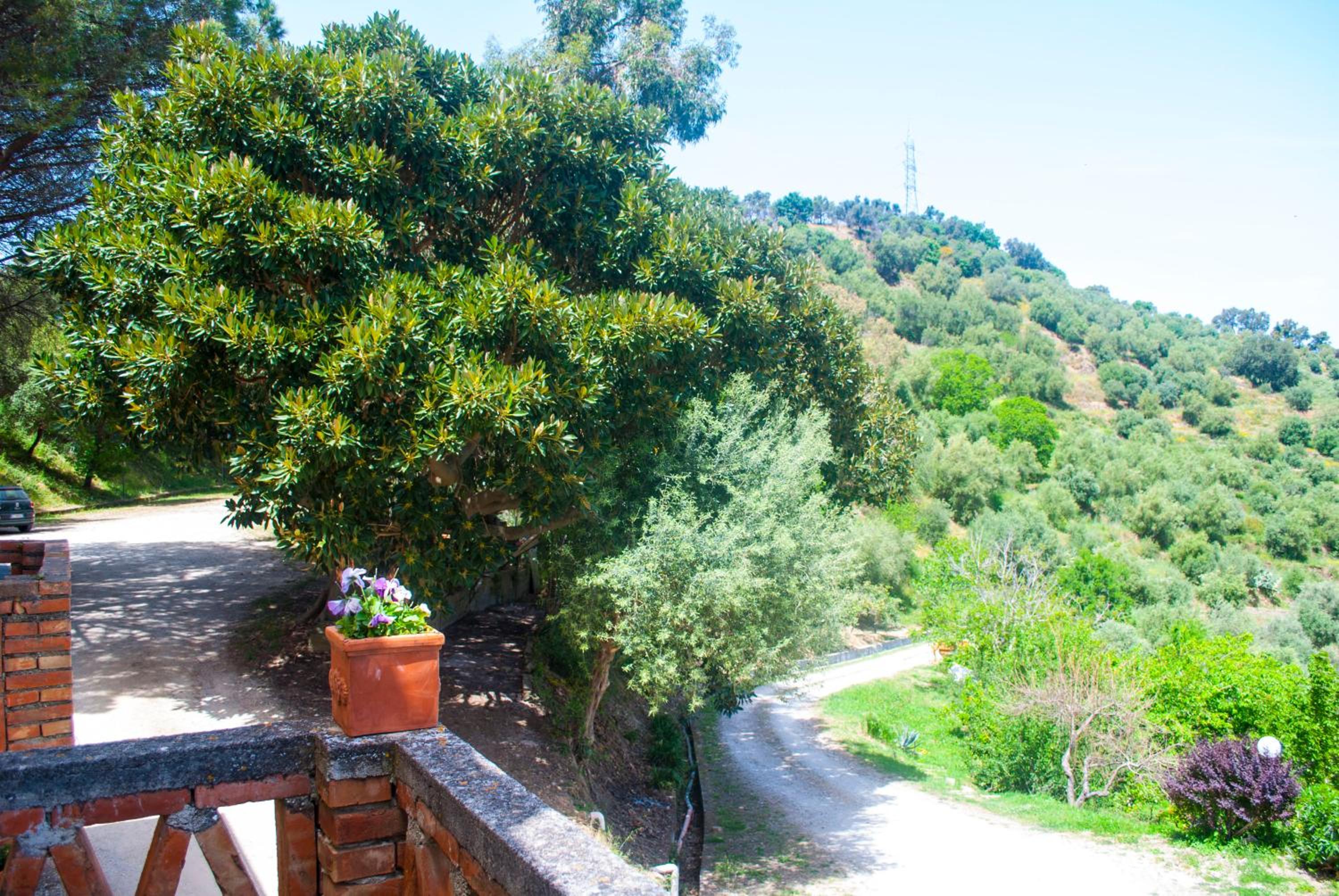 Agriturismo Fattoria di Grenne, Billede 12