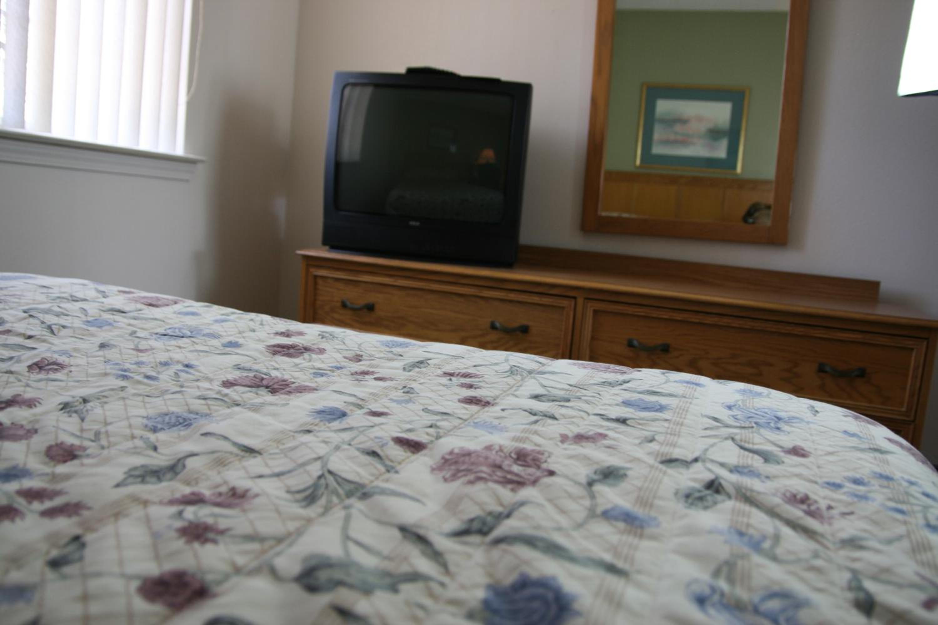 One-Bedroom Suite - Photo 1