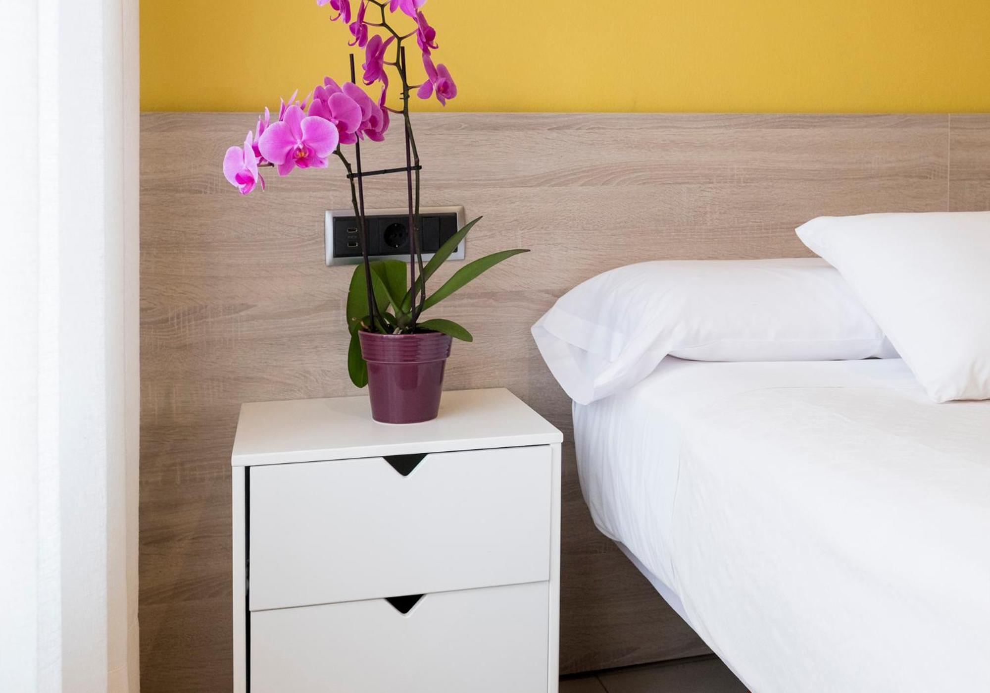 Double or Twin Room - Photo 9
