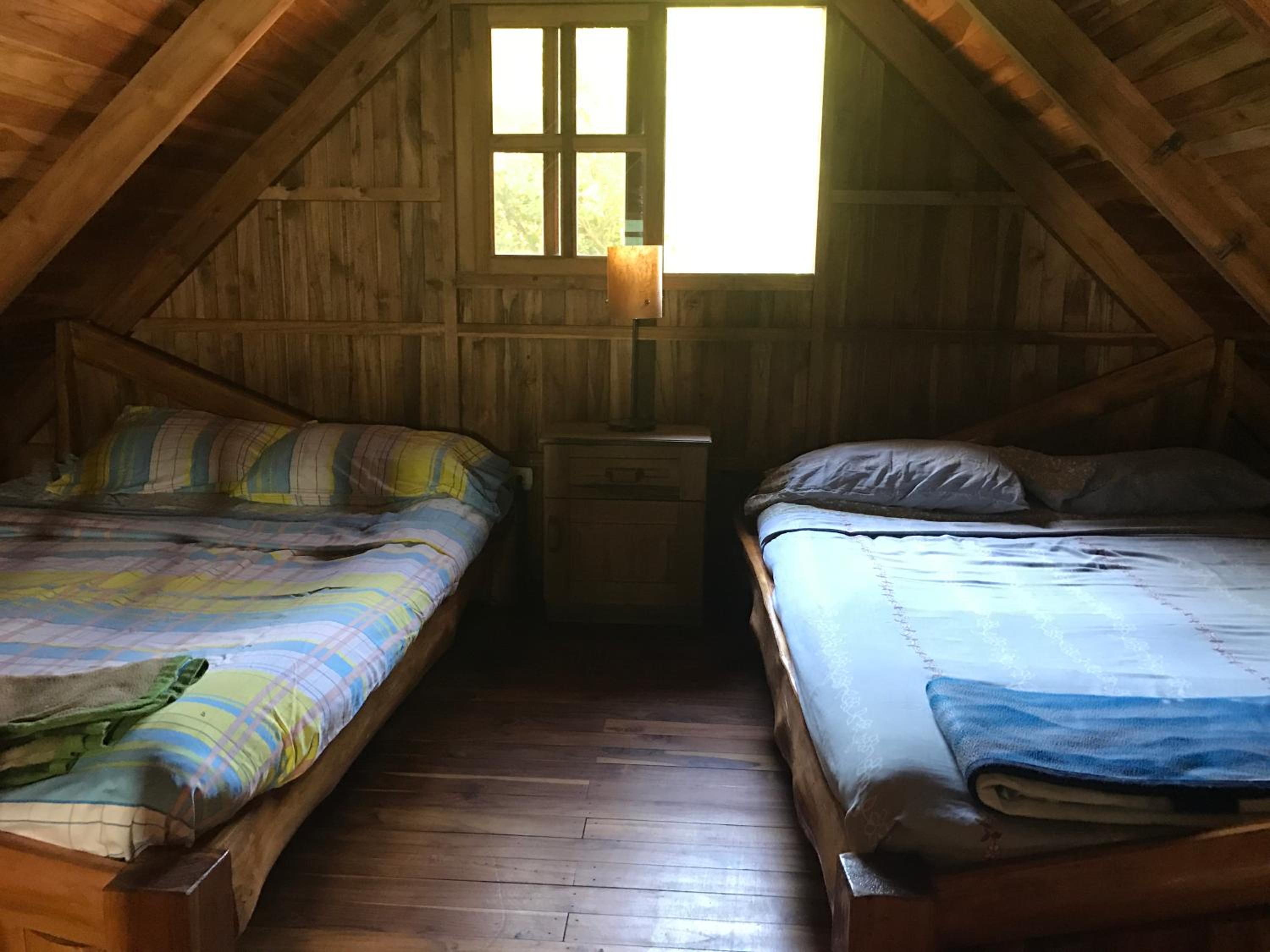 Family Suite photo 3