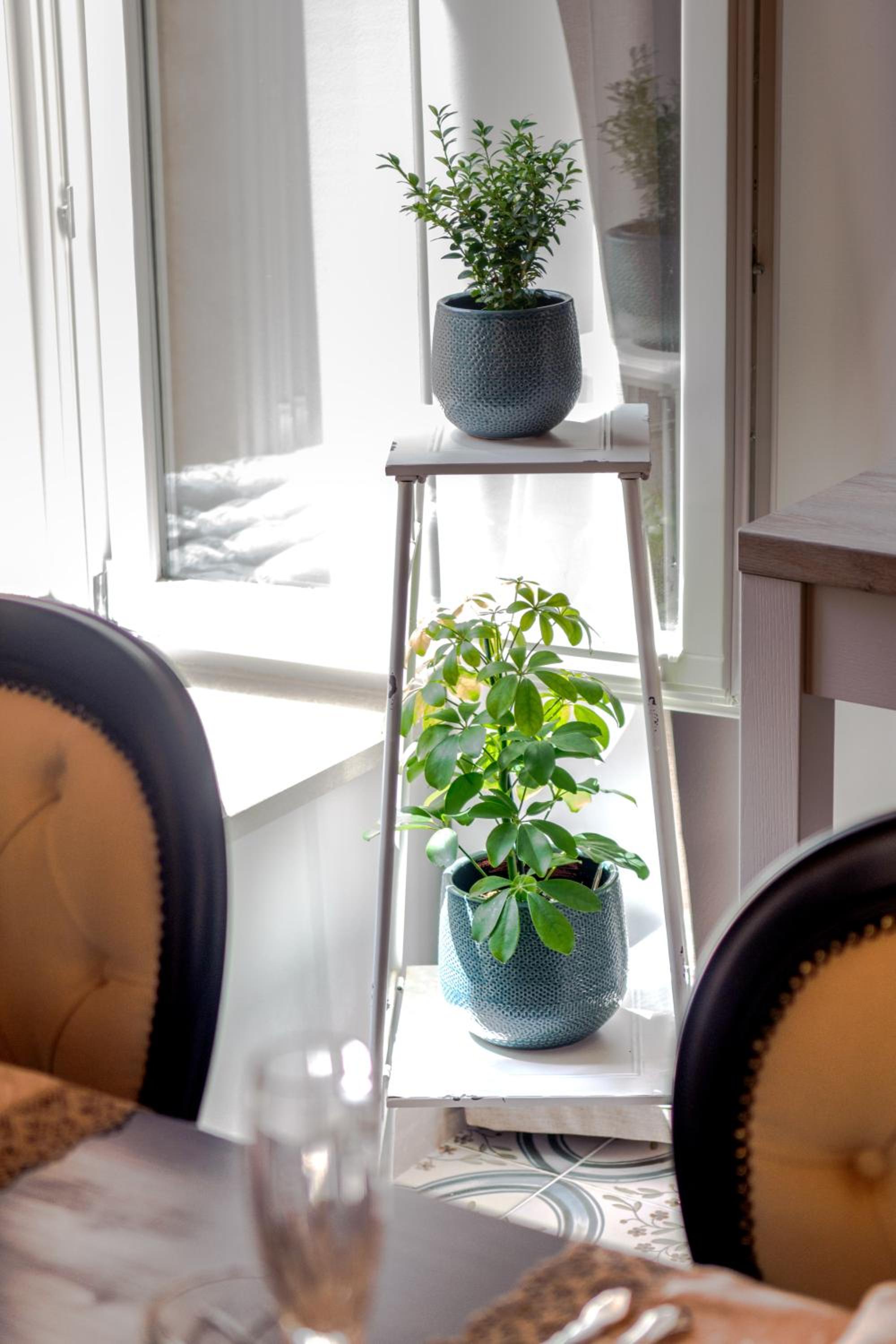 Superior Apartment - Photo 4
