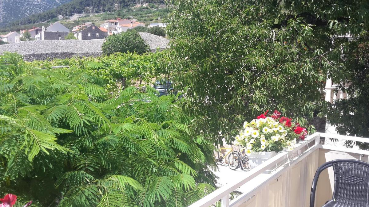 Studio Apartment with Sea View photo 3