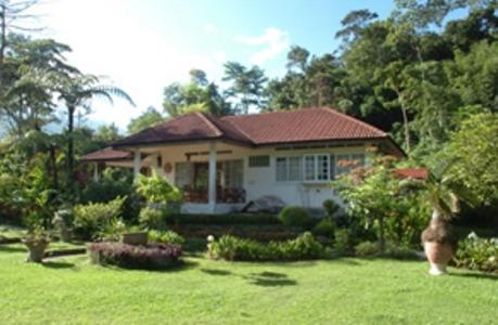 Three-Bedroom Bungalow photo 1