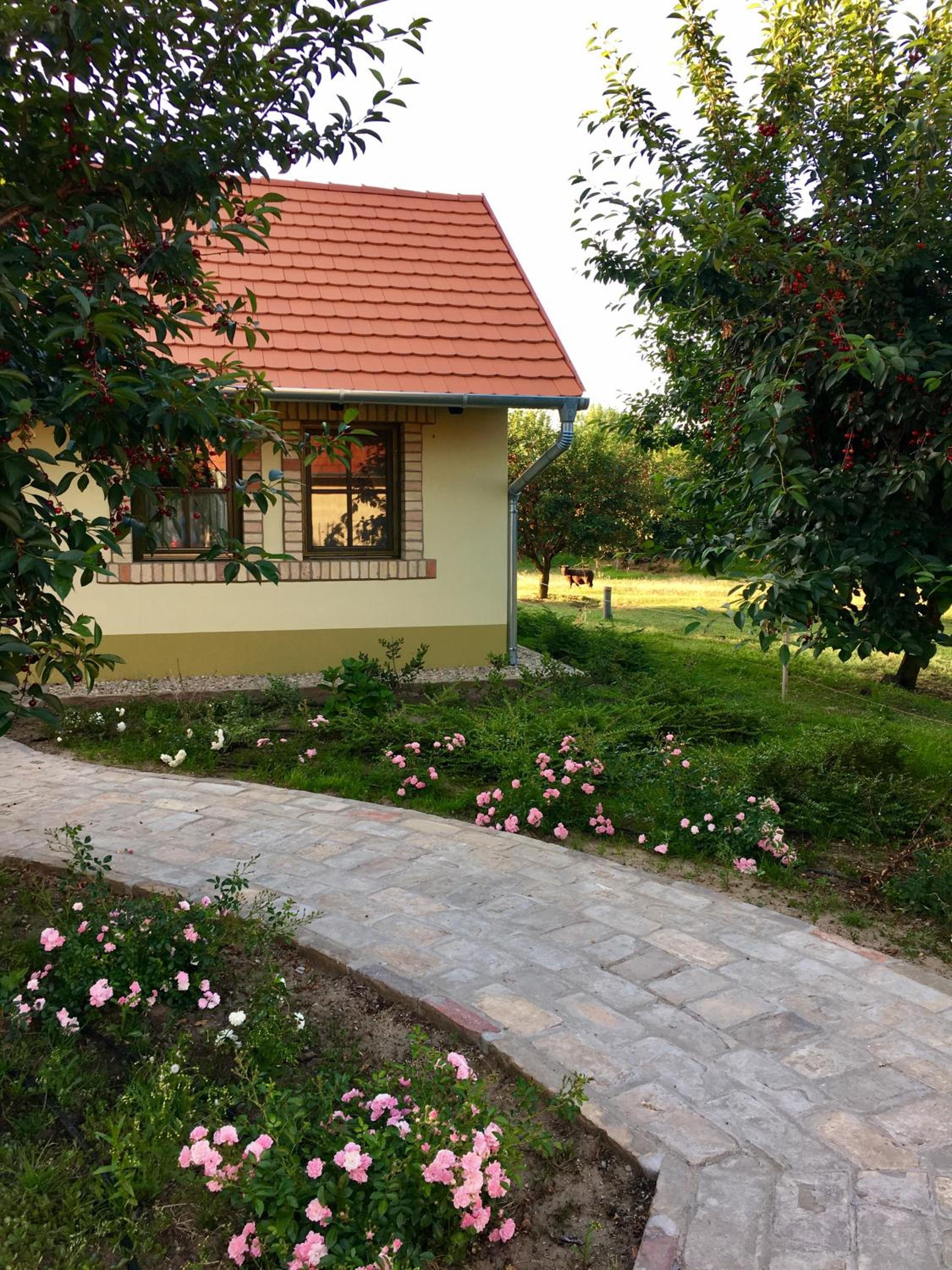 Standard Double Room - Photo 7