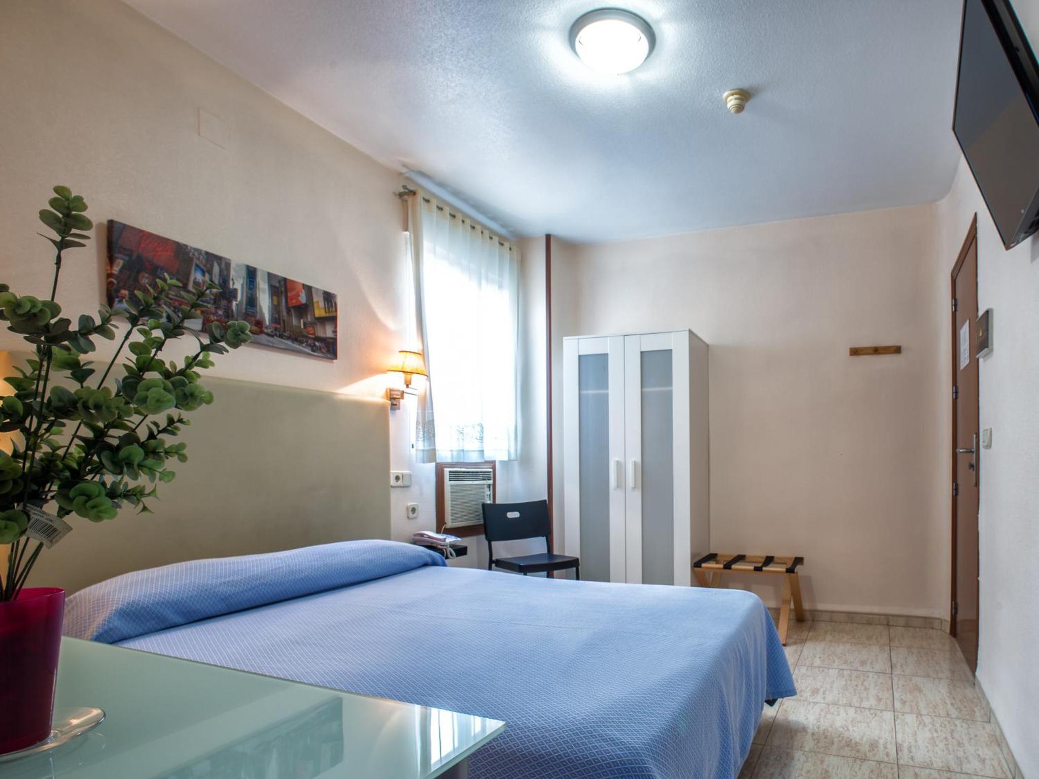 Single Room photo 2