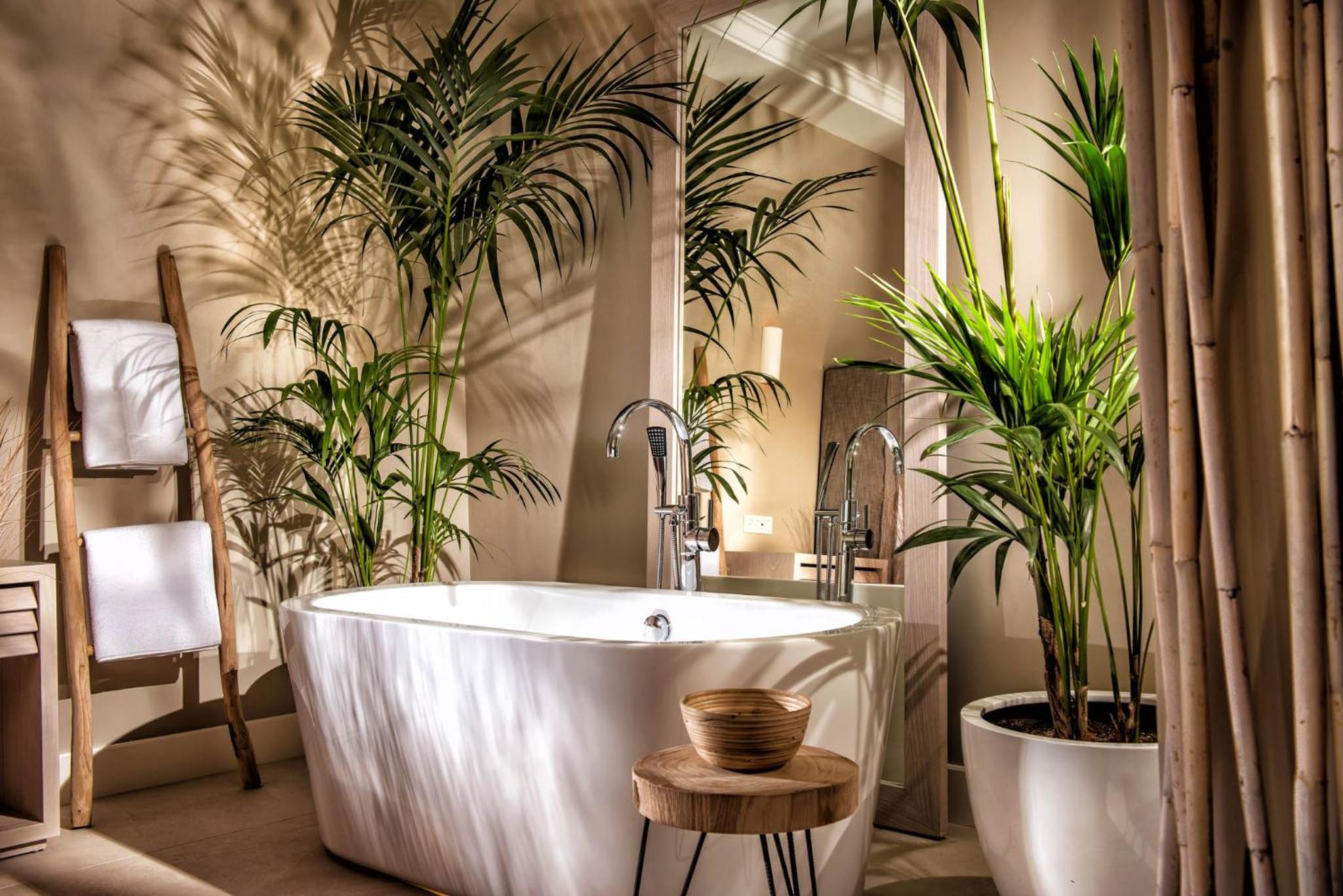 Luxury Veranda Suite With hot tub  photo 2