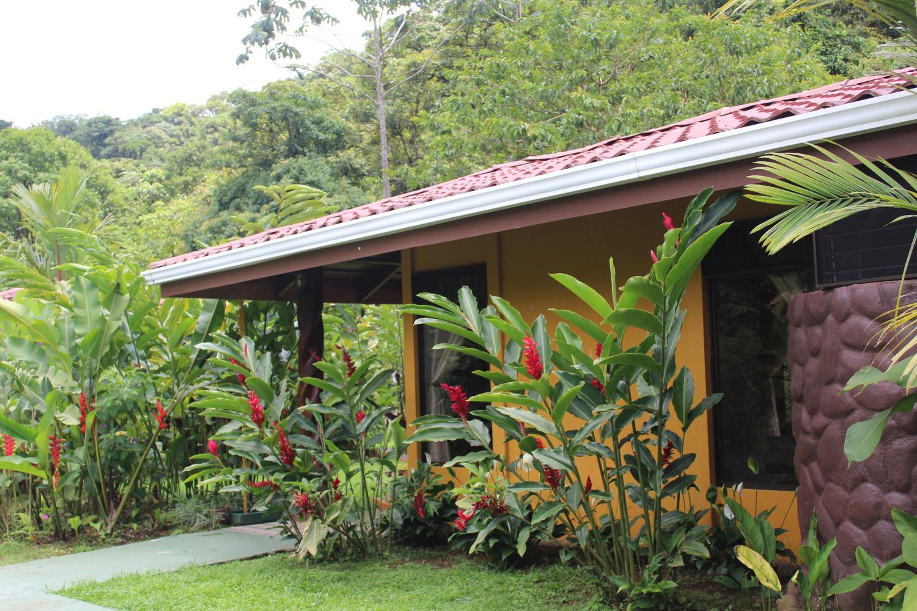 Family Bungalow photo 2