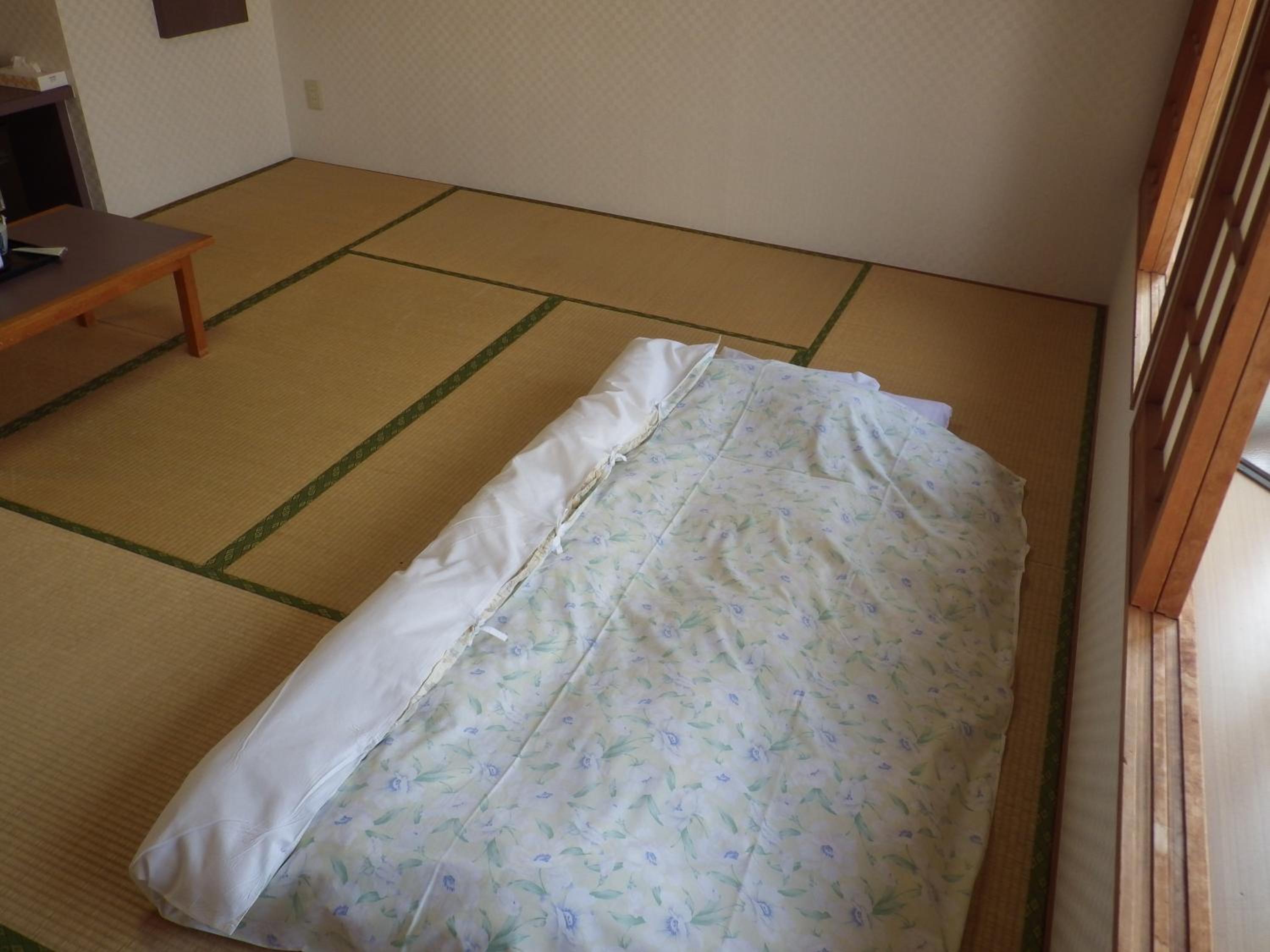 Japanese-Style Family Room - Photo 3