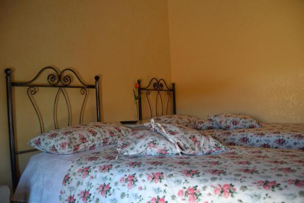 Suite with Jacuzzi photo 1