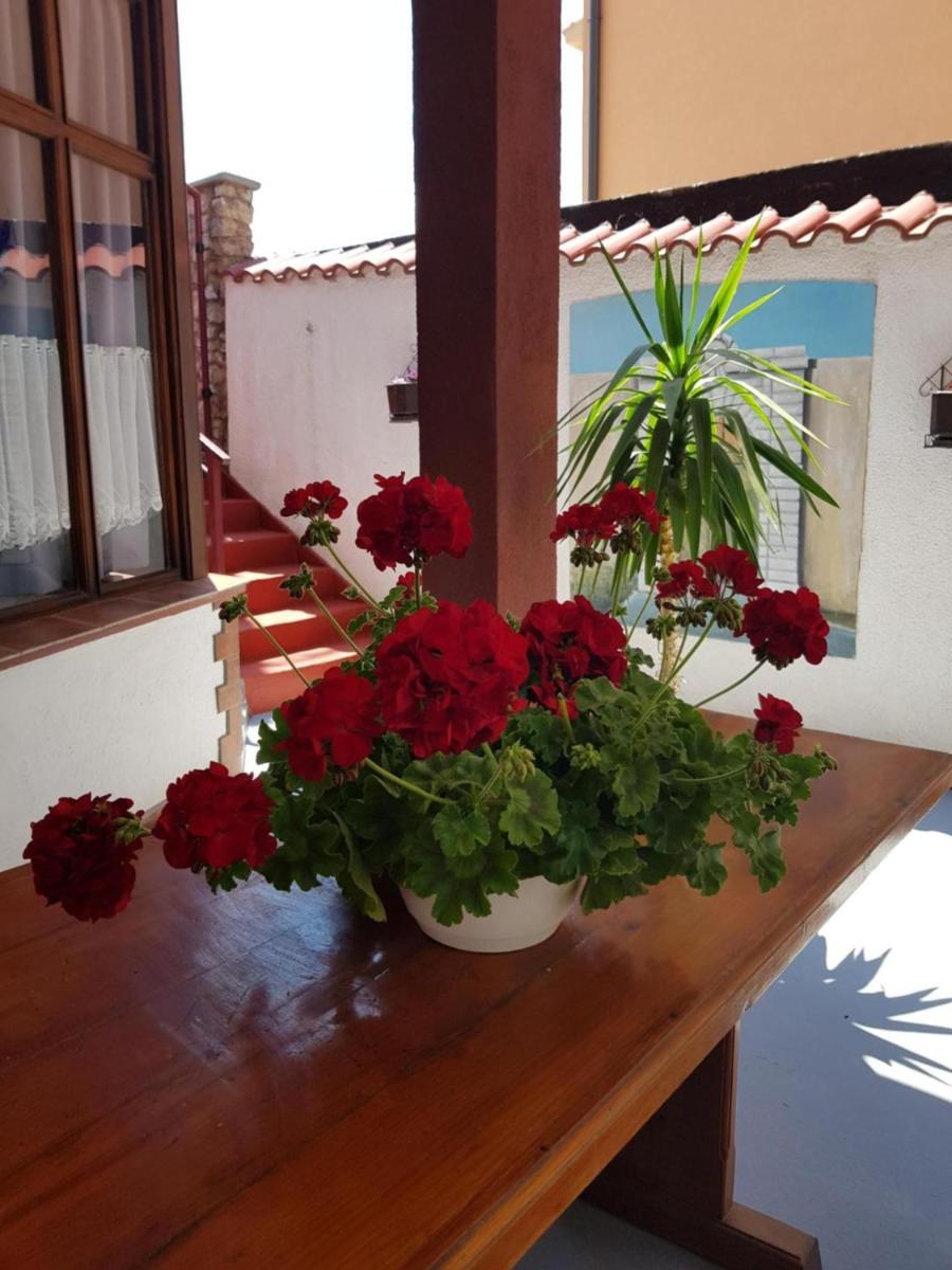 Studio Apartment with Sea View photo 1