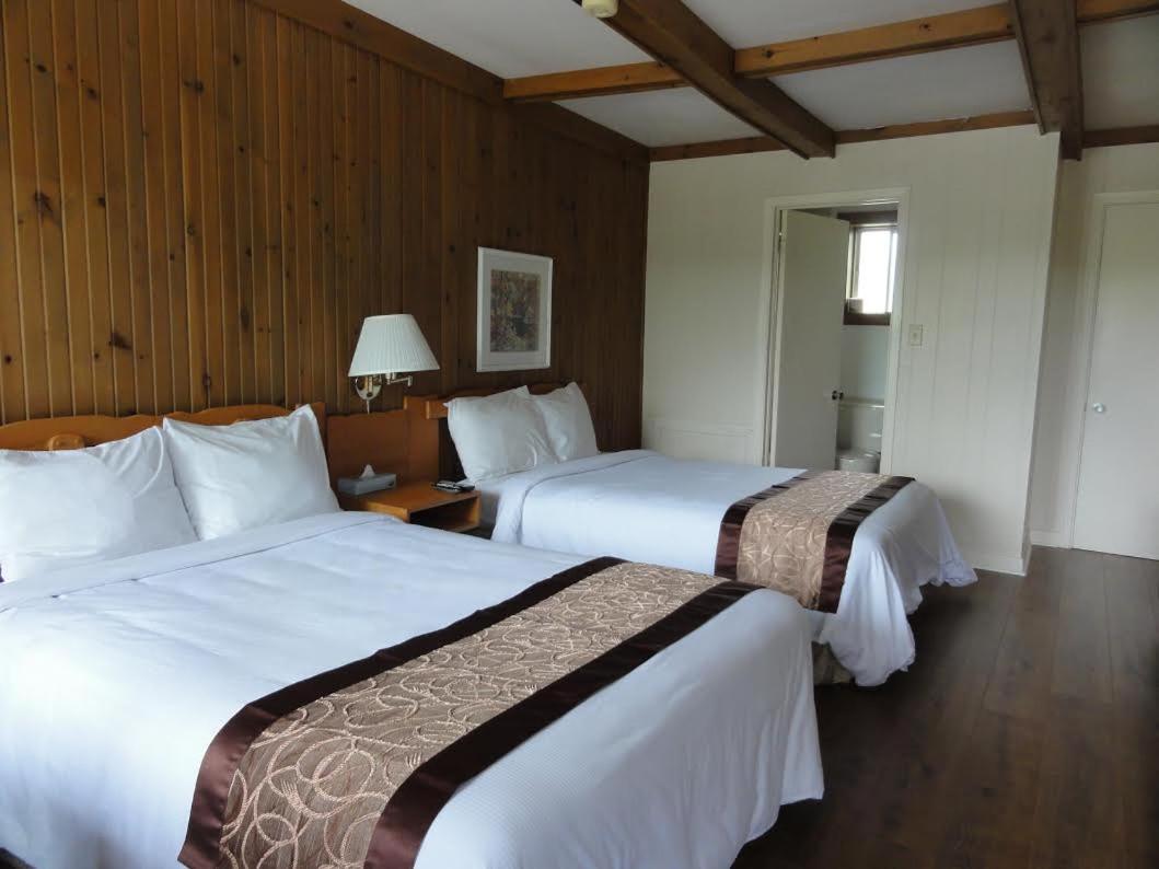Double Room with Two Double Beds photo 2