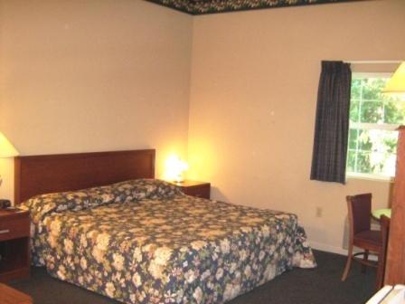 King Room photo 3
