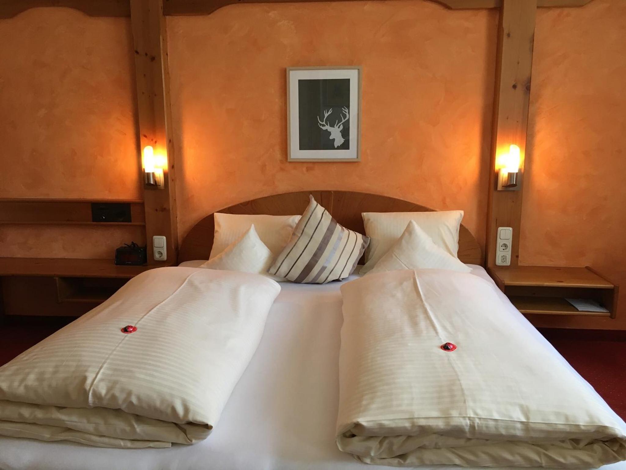 Comfort Double Room Without Balcony photo 1