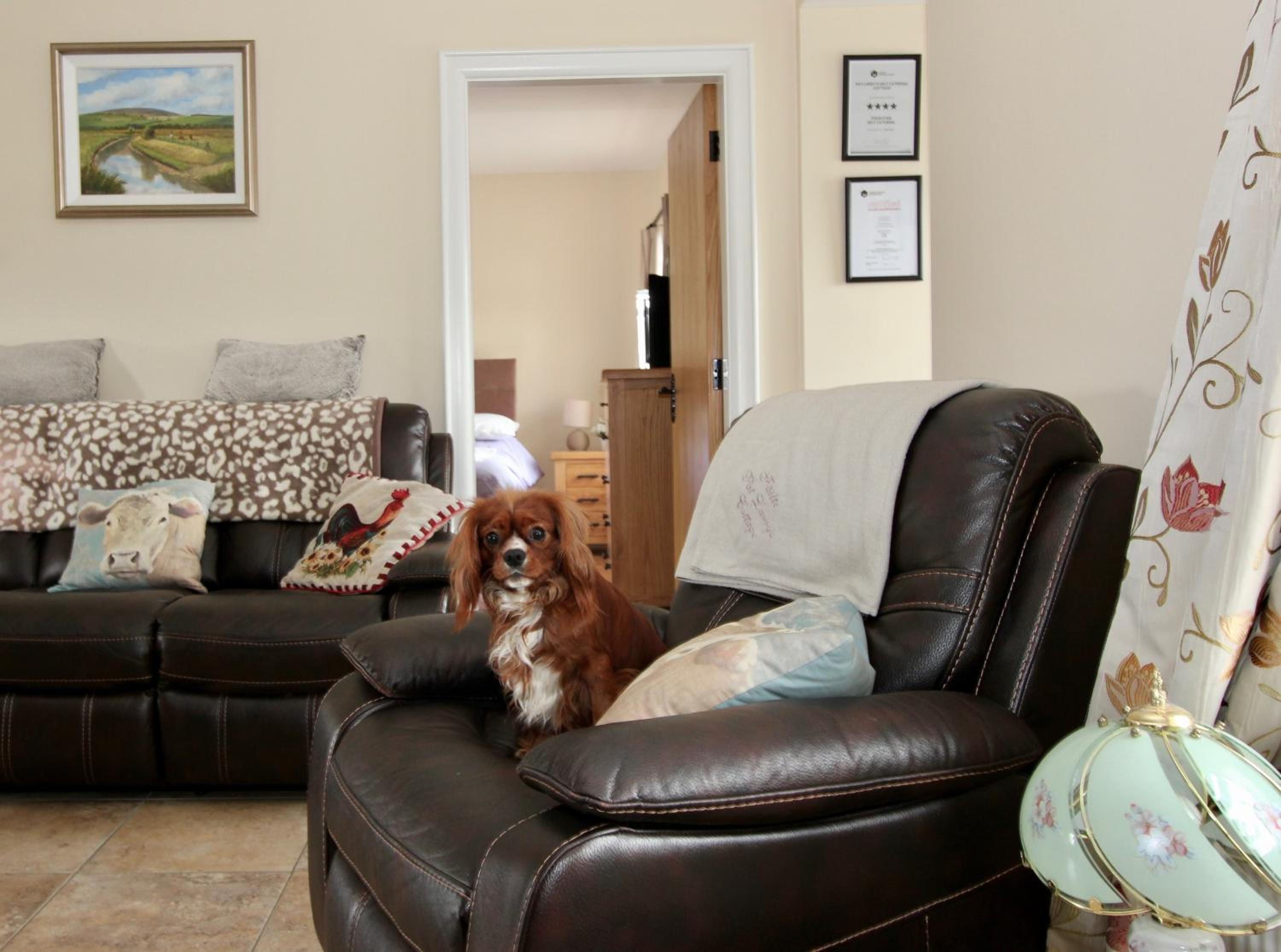 Two-Bedroom House - Photo 26