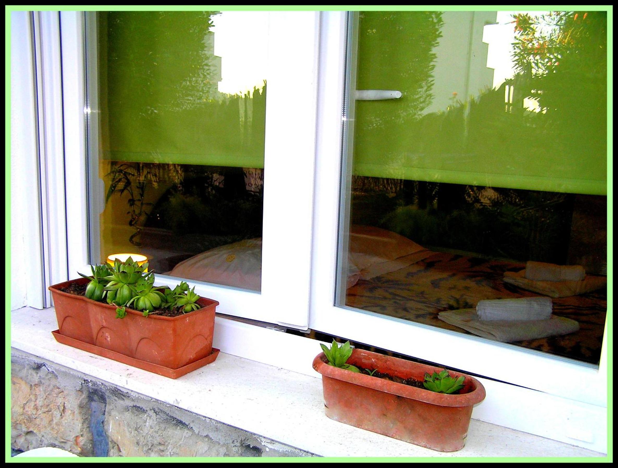 Studio with Terrace photo 3