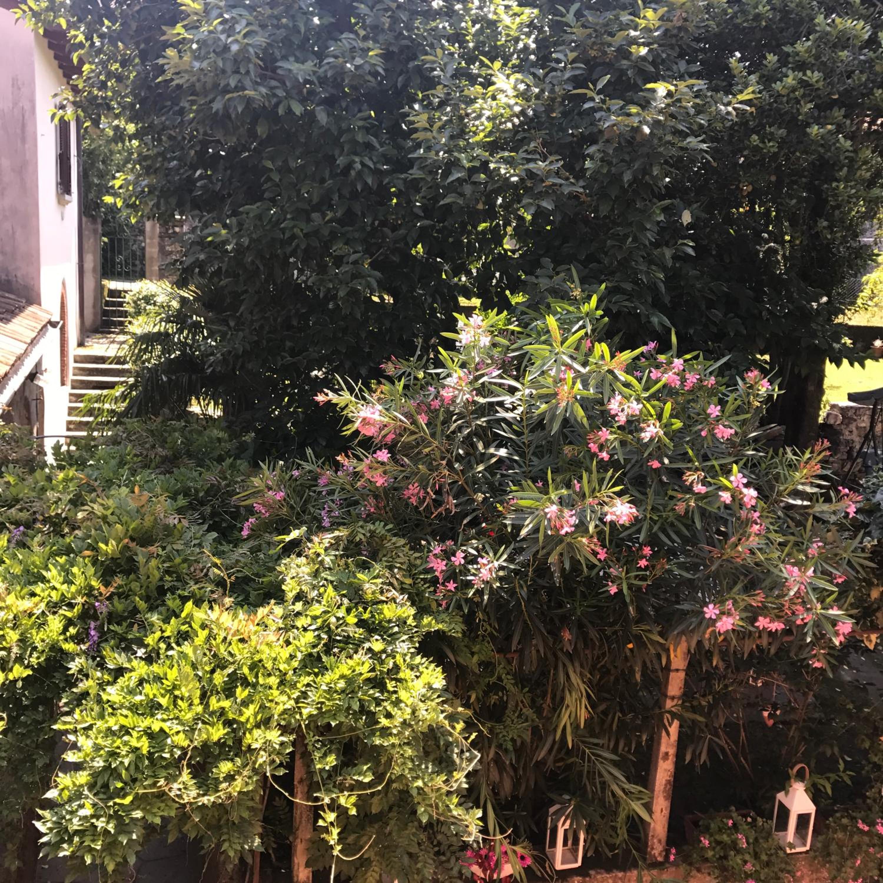 Apartment with Garden View - Photo 6