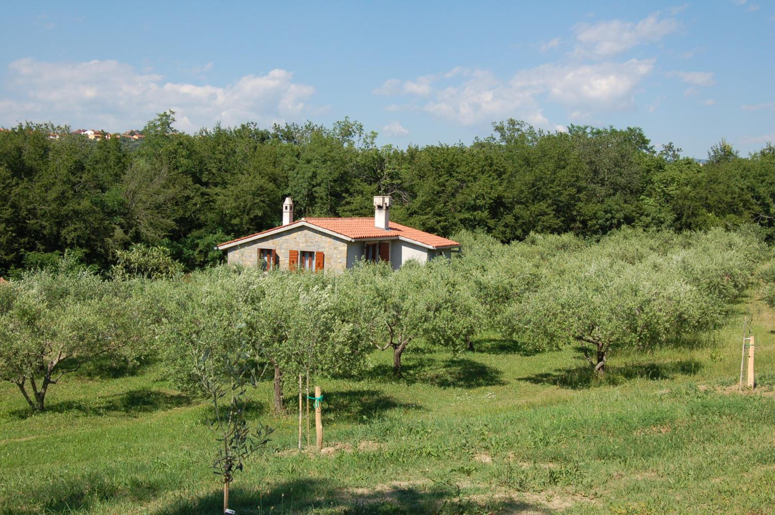 Two-Bedroom House photo 1