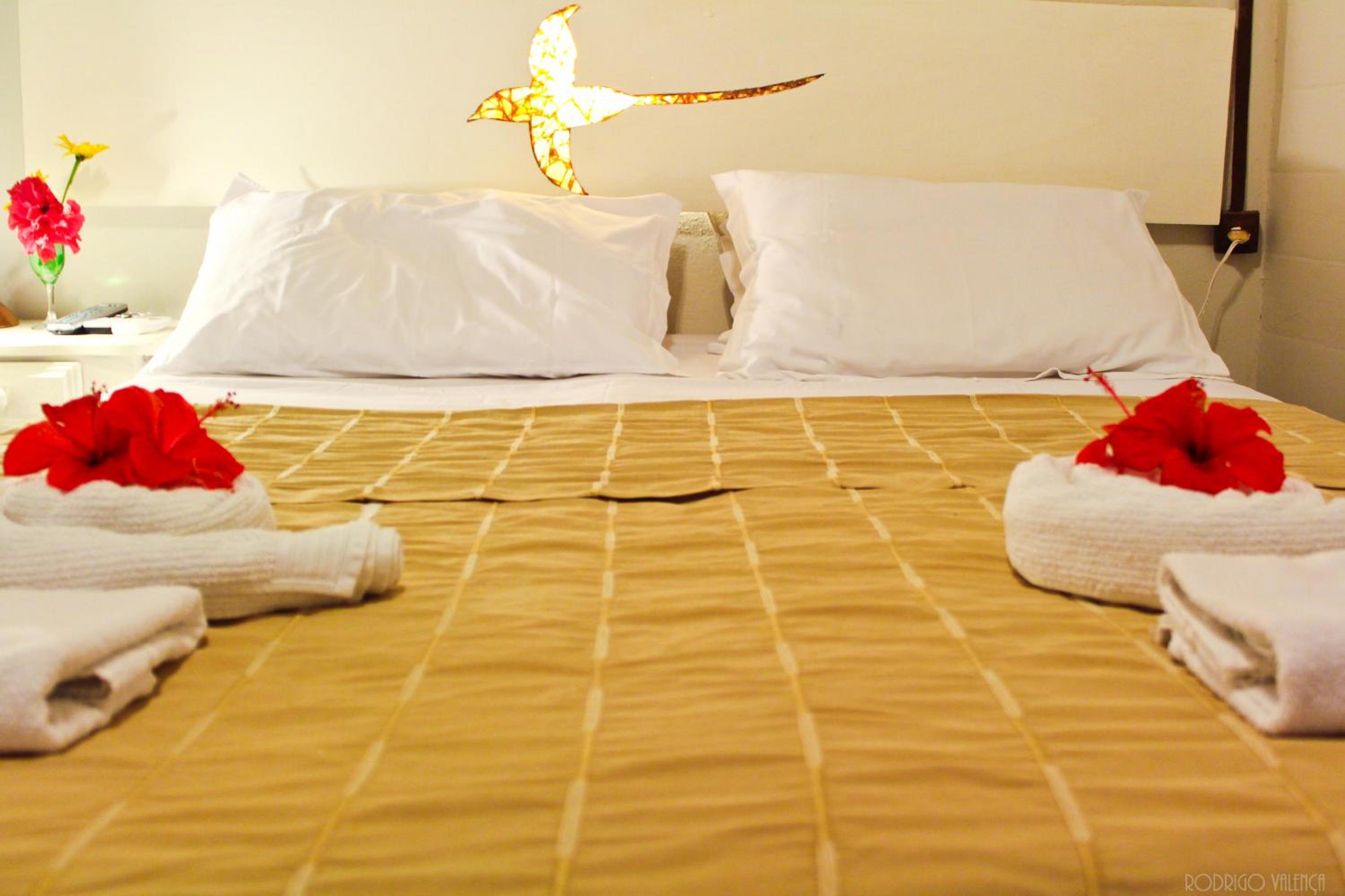 Standard Double or Twin Room photo 1