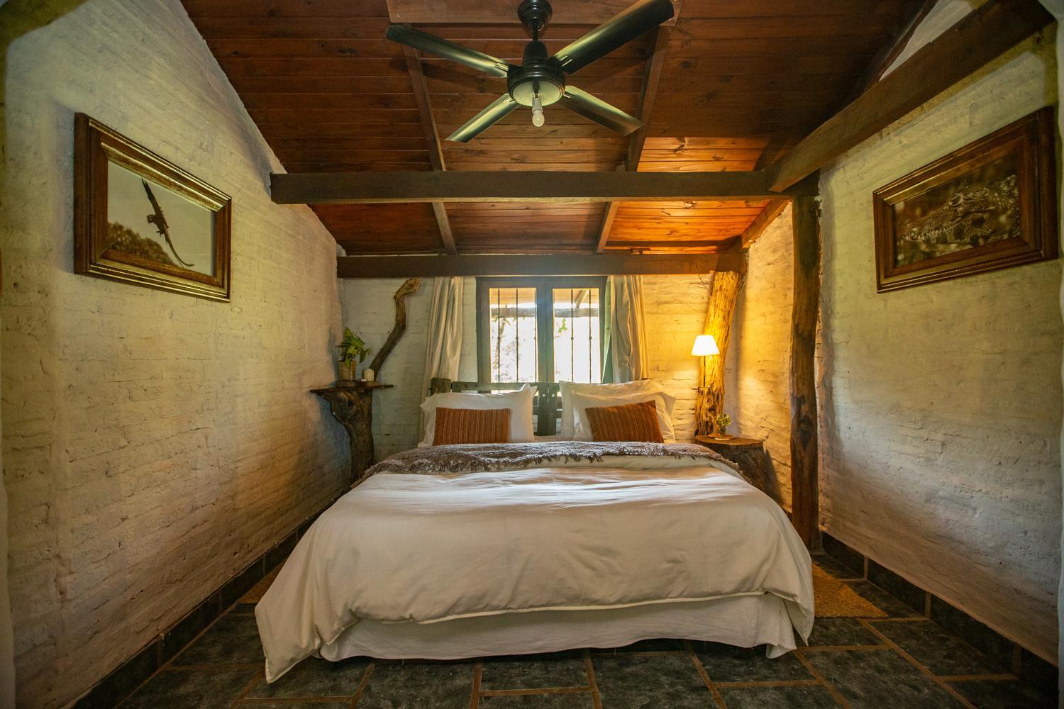 Standard Double or Twin Room photo 1